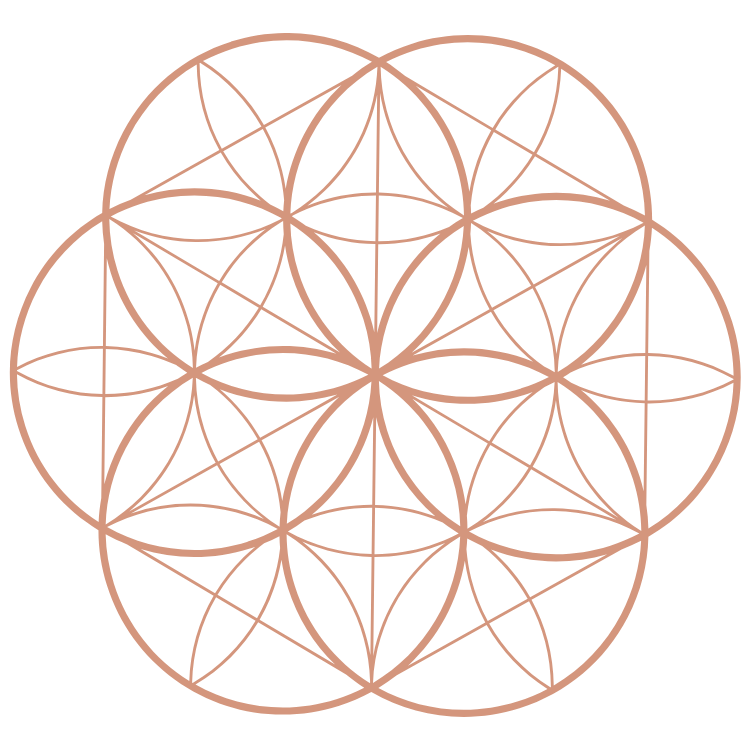Geometric pattern of interlocking circles forming a flower of life design with a black background.