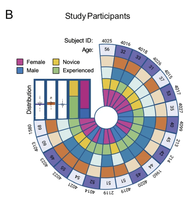 Circular chart showing study participants' data, with color-coded segments for gender and experience level, and a bar graph indicating distribution.