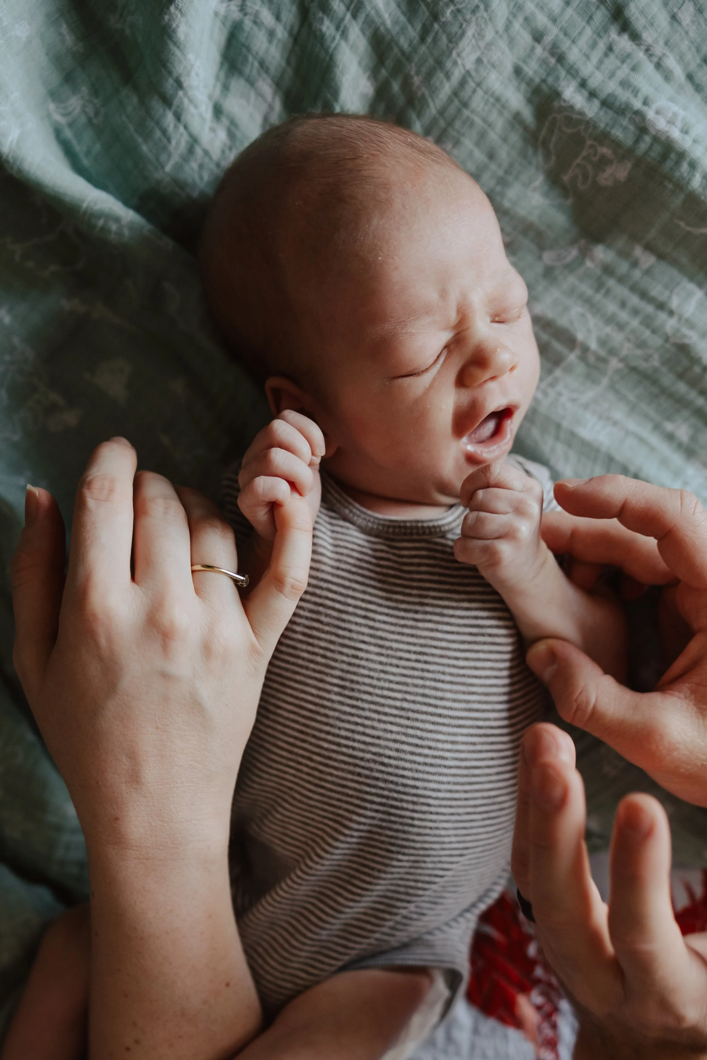 Close-up of a newborn baby with closed eyes and mouth slightly open, surrounded by multiple hands gently touching or supporting the baby.