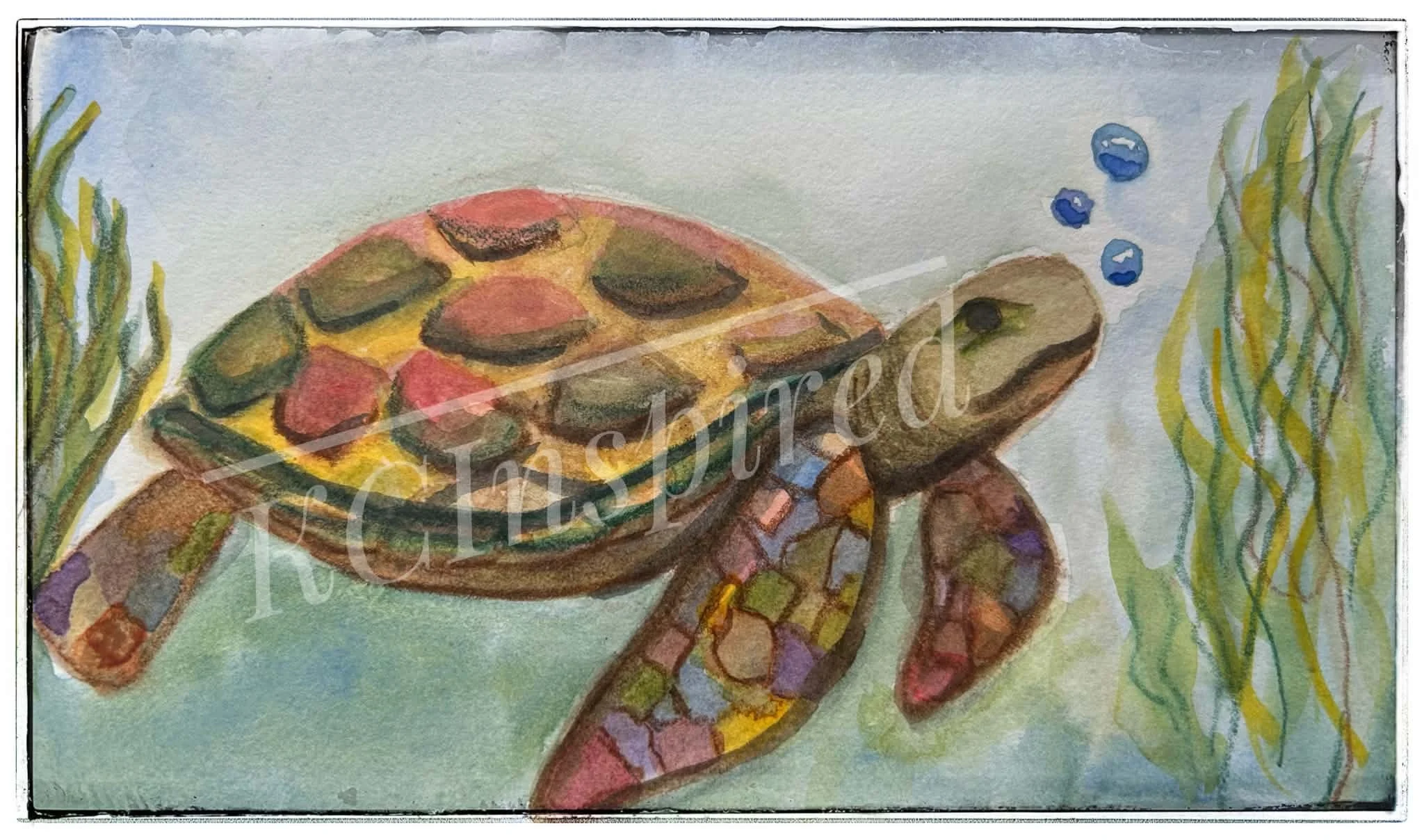 Sea Turtle.jpeg