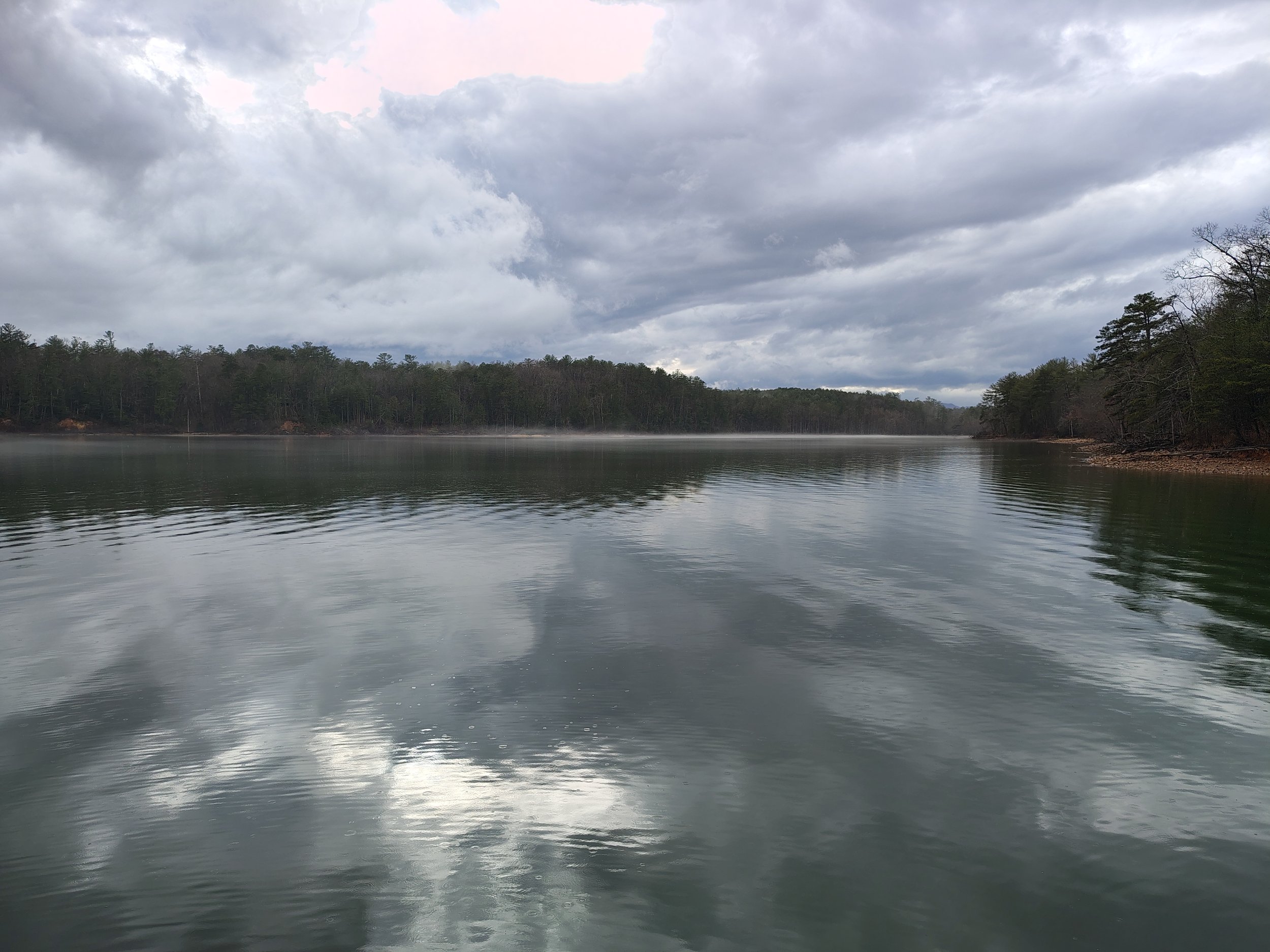 IMG_20260308_174740001_HDR.jpg