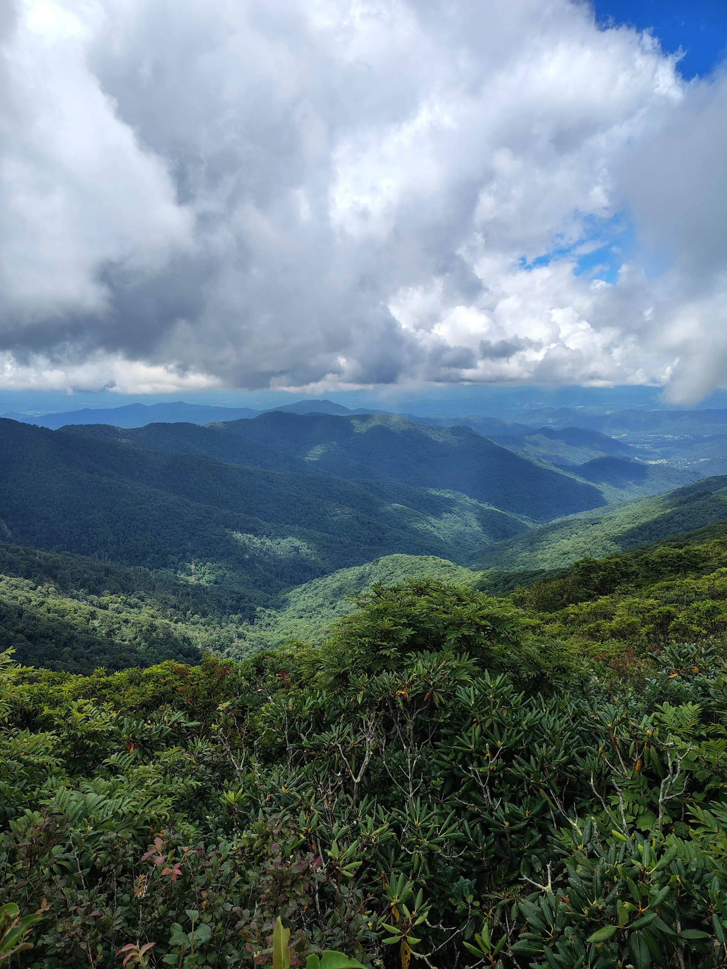 IMG_20260803_123304091_HDR.jpg