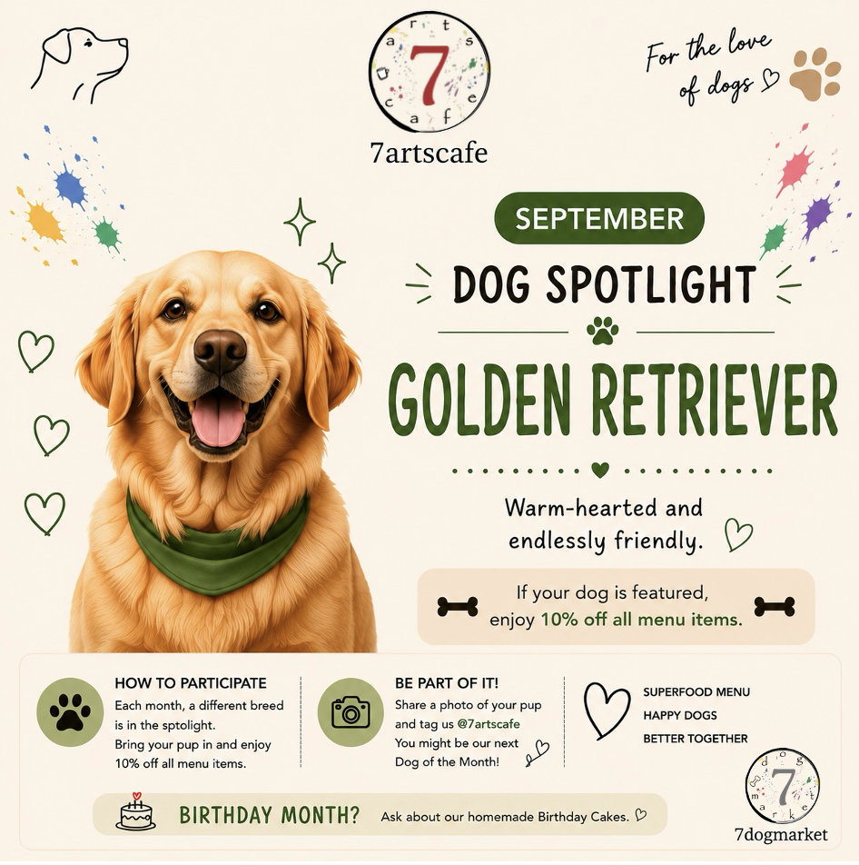 September Dog Spotlight – Golden Retriever Month | 7dogmarket at 7artscafe