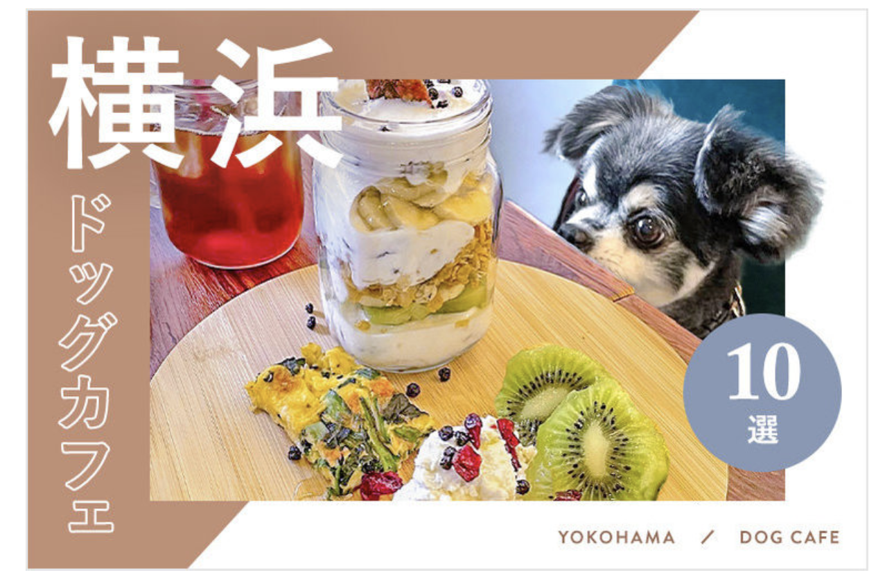   Wankonowa   Yokohama Dog Cafe  2024 