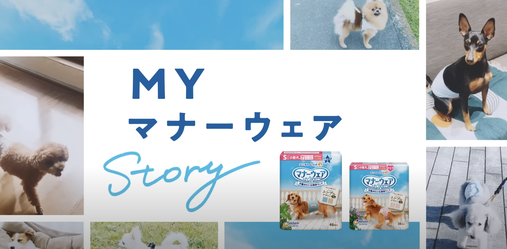   Unicharm Commercial   My Story  2024 