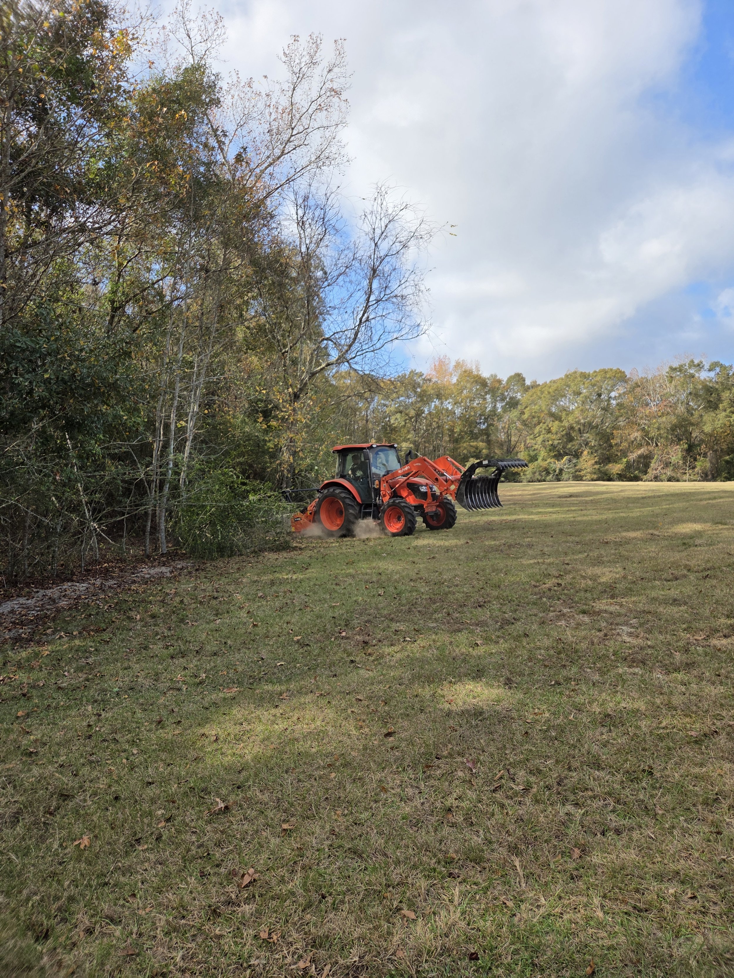 Clearing overgrowth making space for additional pasture space