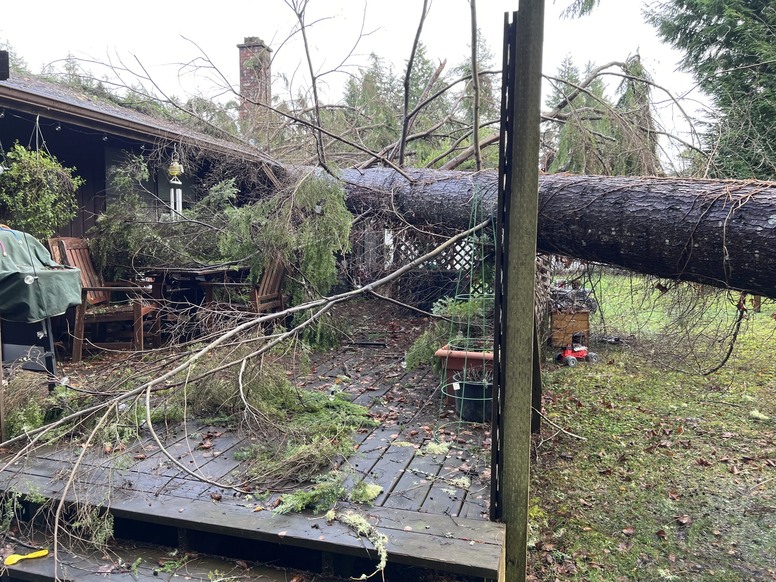 Tree fallen on house storm damage