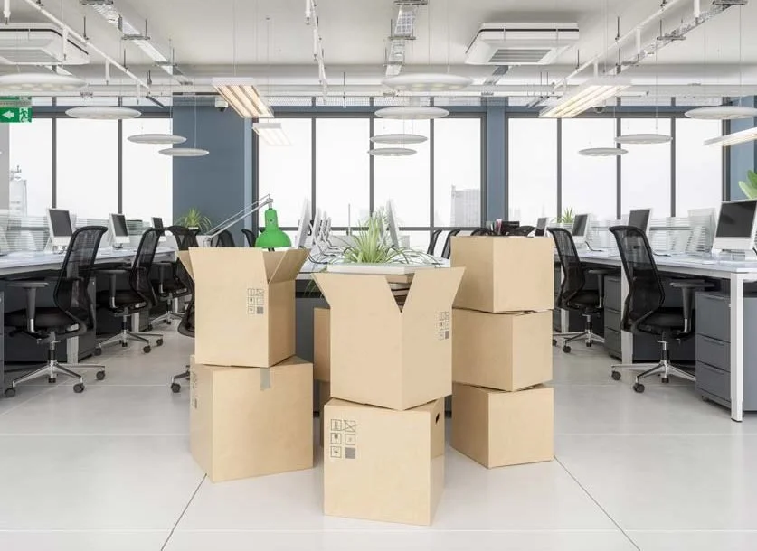 Bureau moderne avec plusieurs bureaux, chaises ergonomiques, grande fenêtre, et des cartons en carton dans le centre avec des plantes