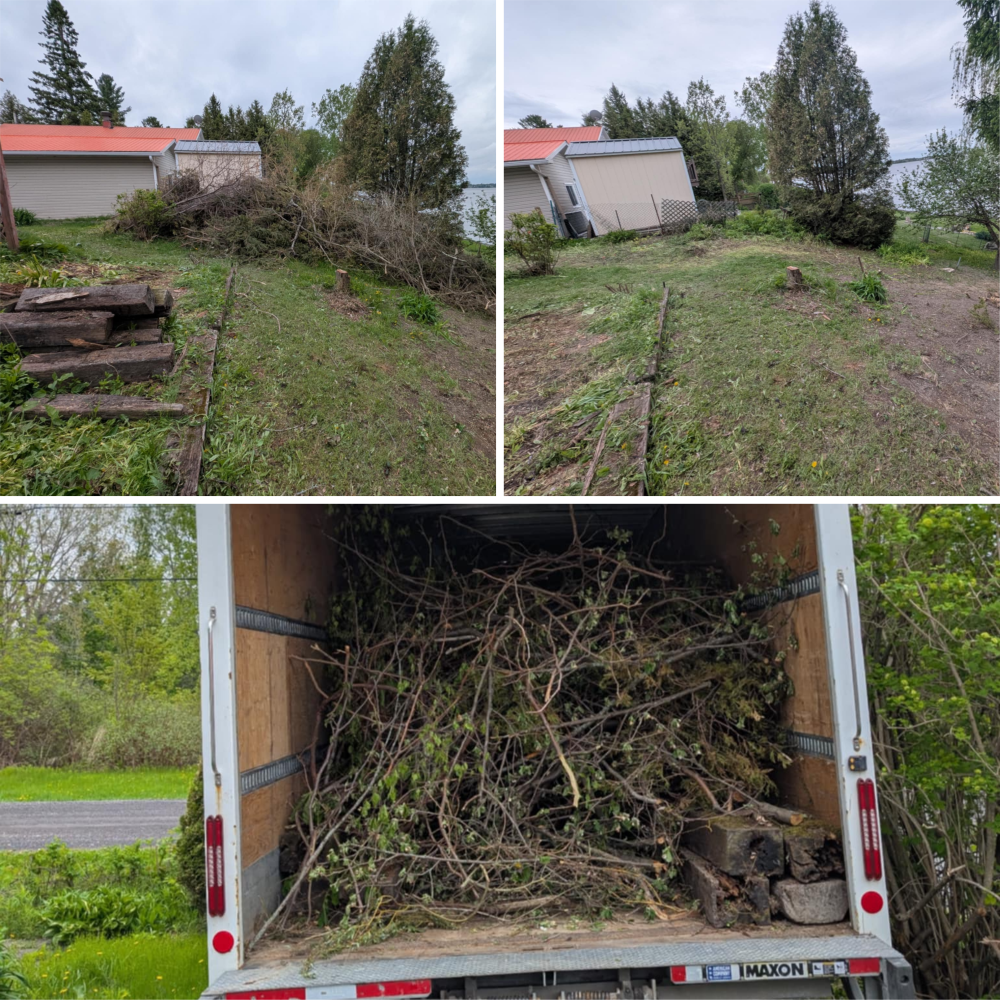 Effet de jardin avec branches coupées et bois, avant et après nettoyage, et un camion rempli de branches coupées.