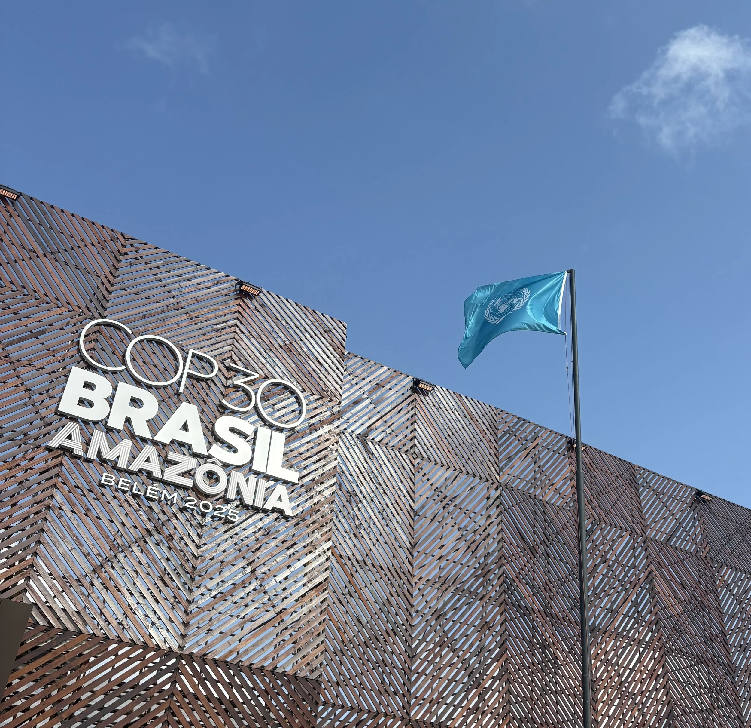 Fieldnotes from COP 30: Negotiations and Strategies