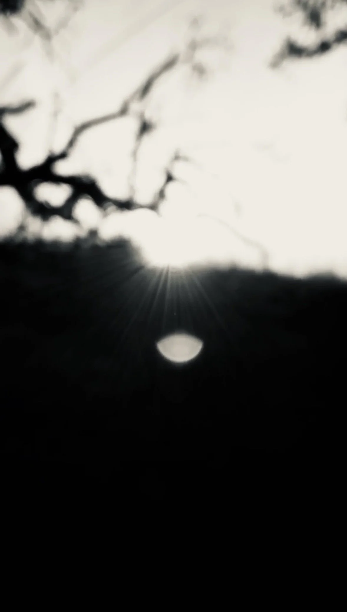 The Sacred Medicine of Returning: A Solstice Blessing