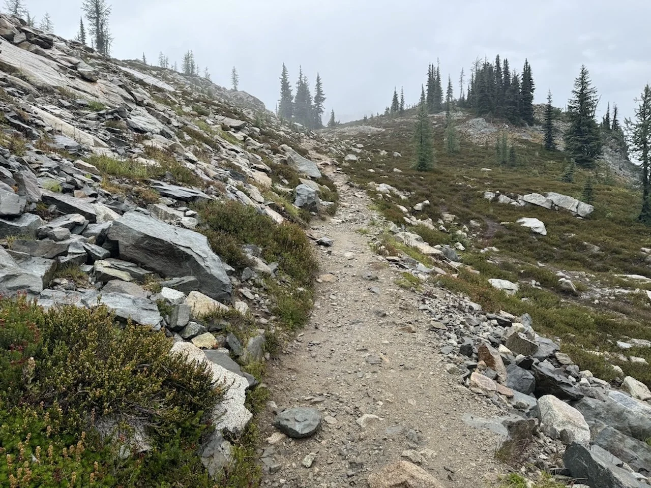 A pathway to healing.