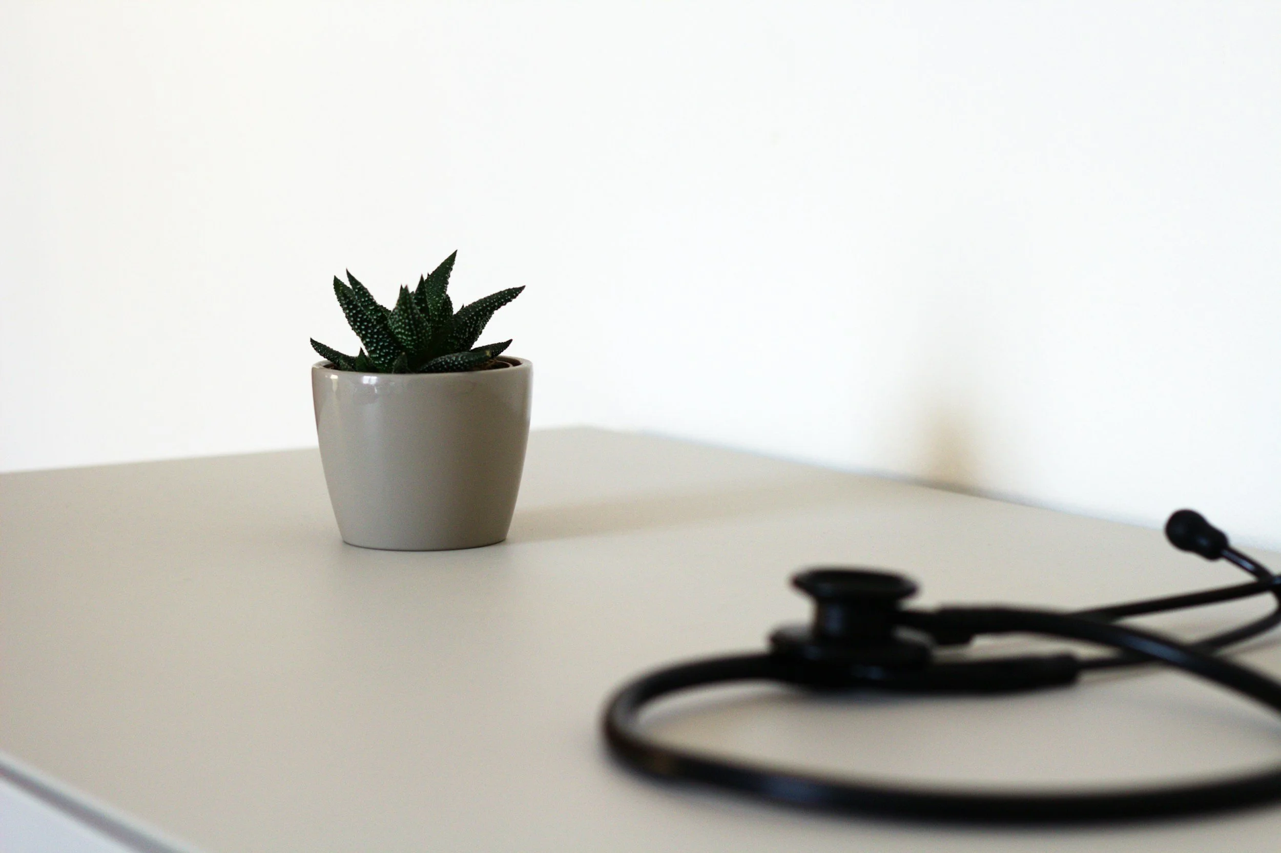 A potted succulent plant on a white surface with a plain white background, partially visible in the foreground is a black faucet handle.
