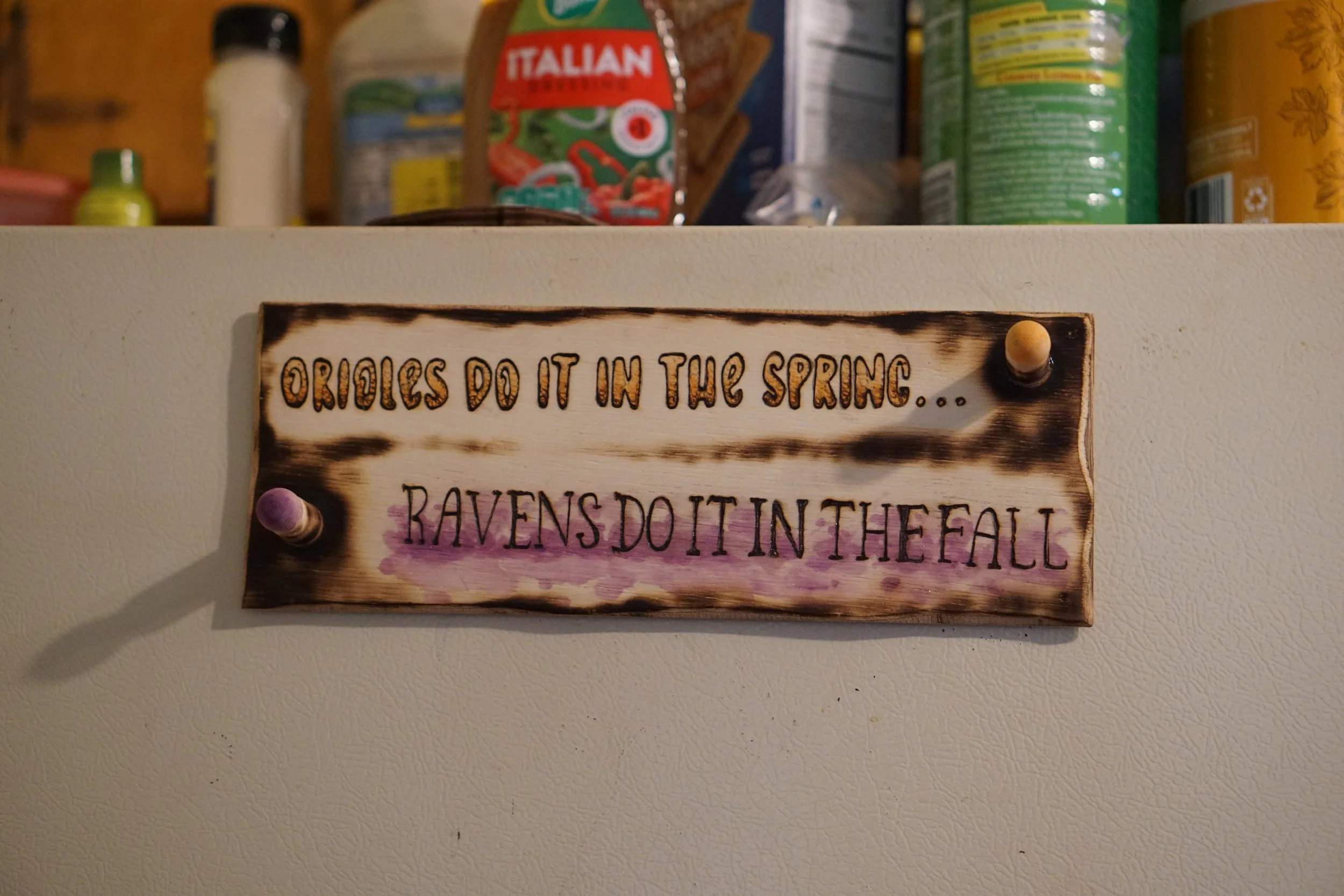 Orioles/Ravens utility magnet