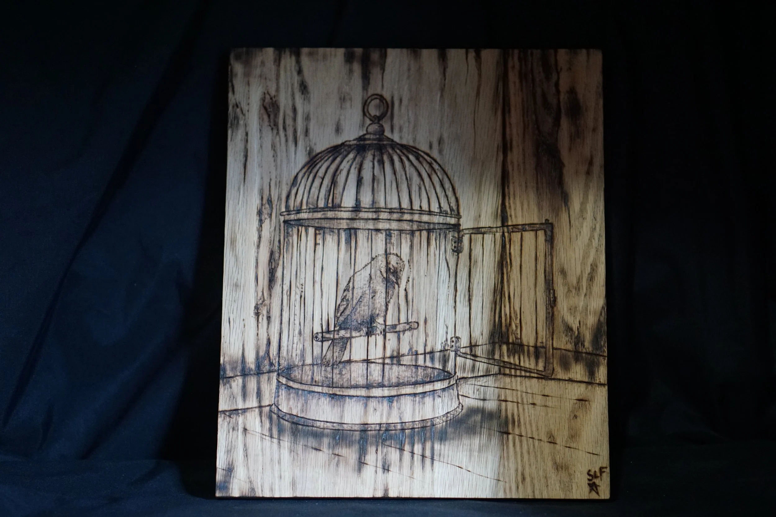 Bird in a Make Believe Cage