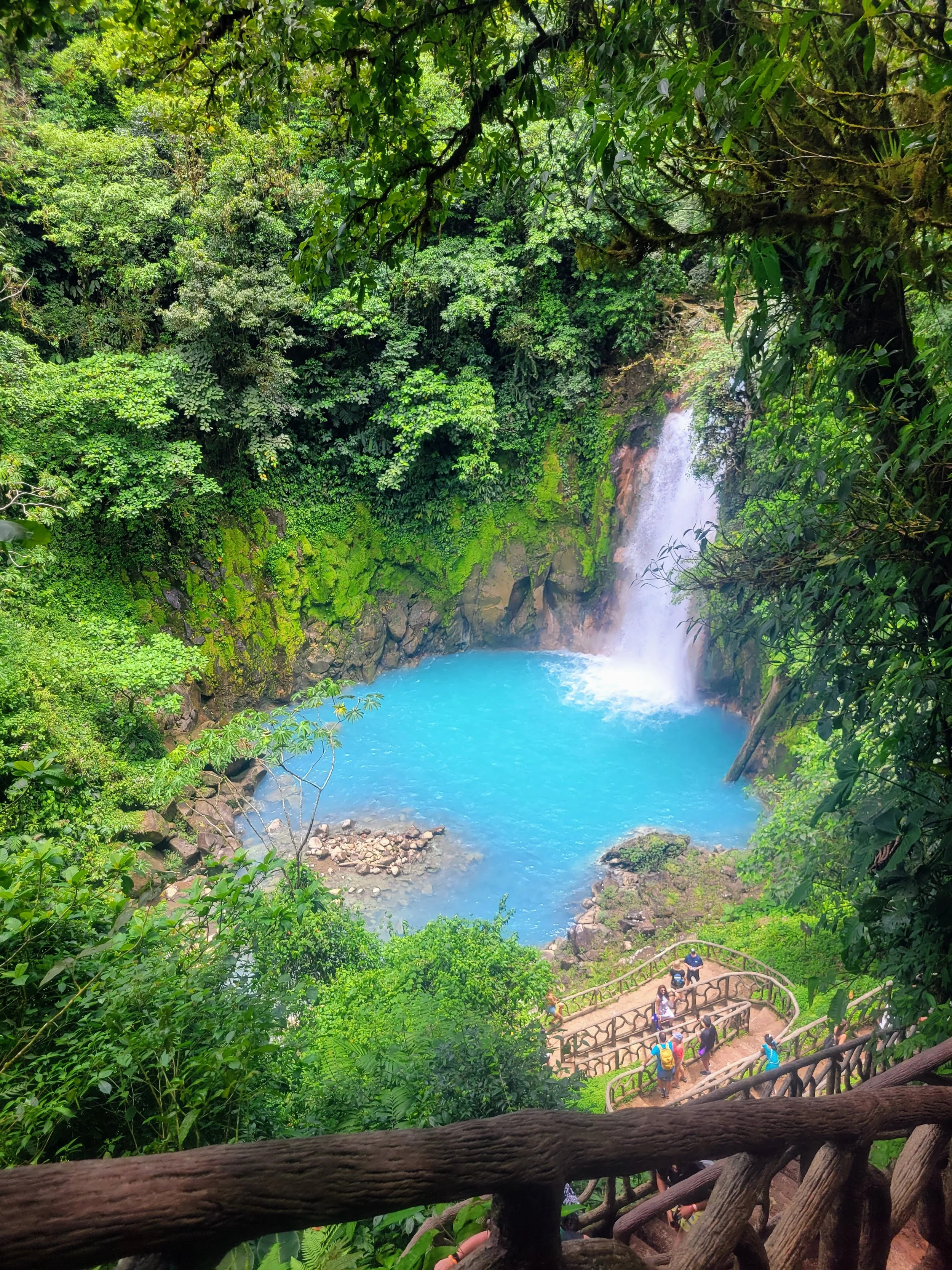 A lush green jungle with a waterfall cascading into a bright blue pool below. Visitors are walking along a paved pathway with wooden railings through the dense foliage.