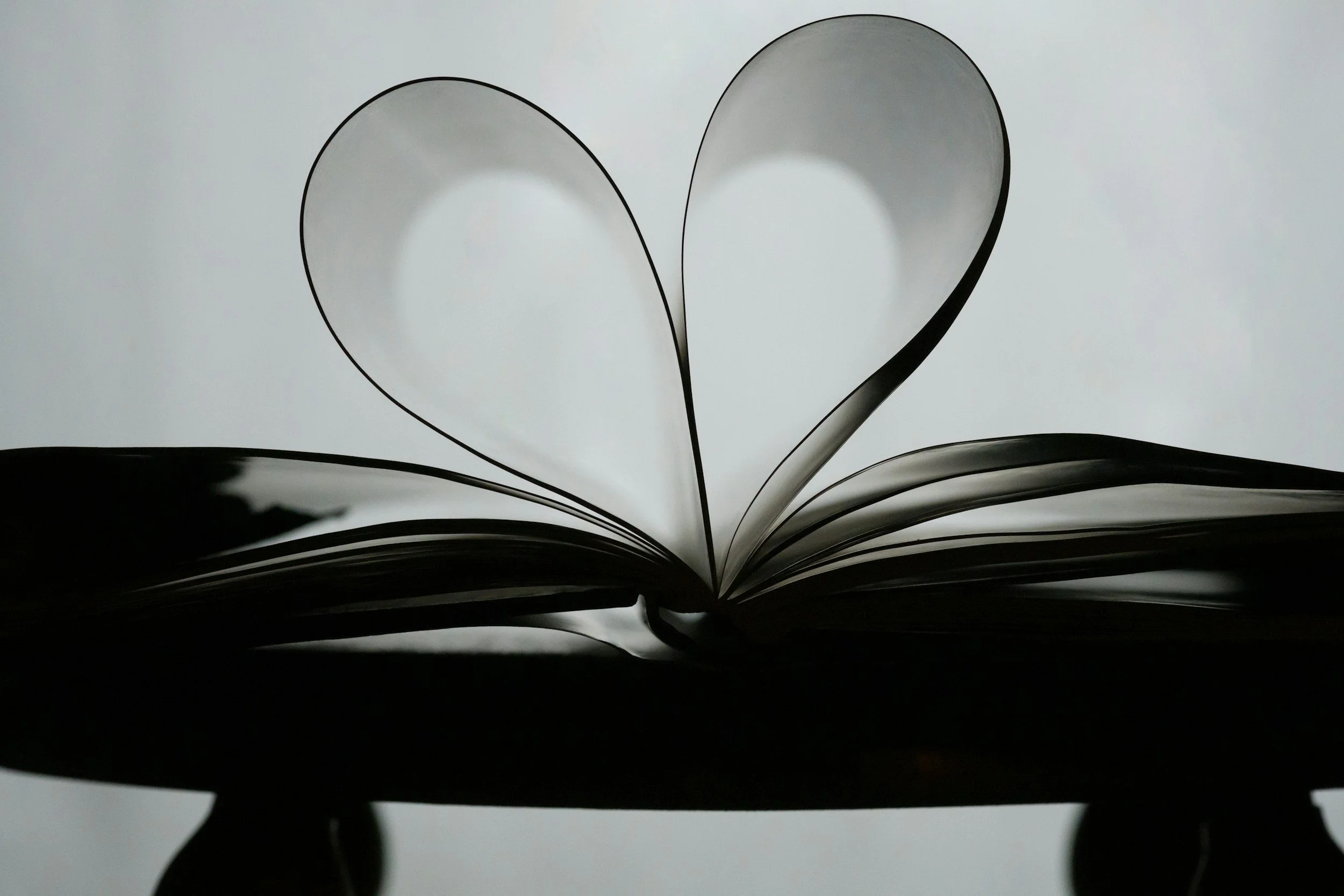 An open book with pages shaped like hearts, illuminated from behind creating a silhouette effect with black edges and white interior, on a plain room background.