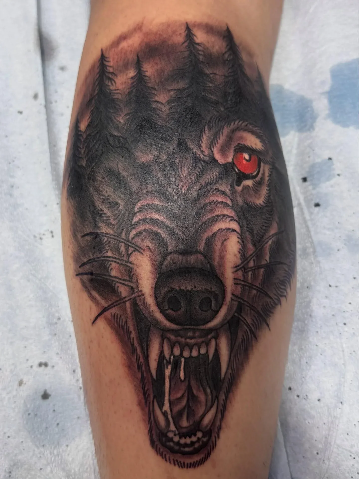  Black and grey traditional wolf head tattoo with forest silhouette inside, red eye and open fangs. Nature inspired double-exposure wolf tattoo by Brett Semrick.