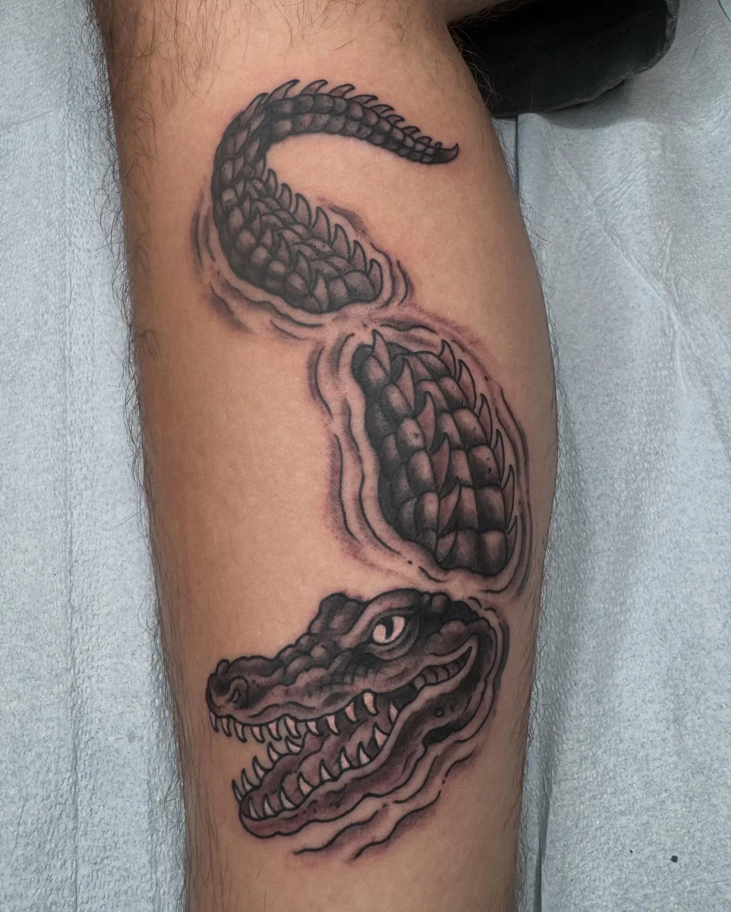Black and grey traditional alligator tattoo emerging from water, with detailed scales and open jaws. Bold blackwork wildlife tattoo by Brett Semrick.