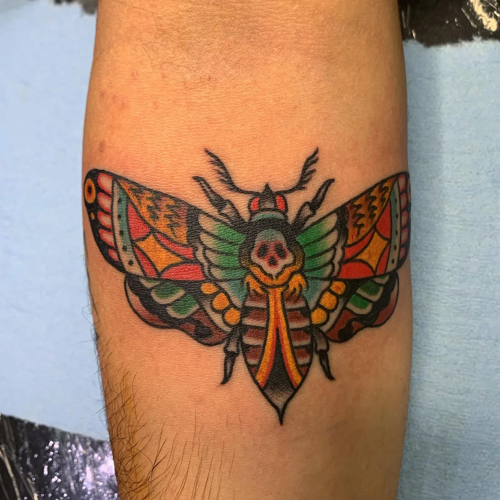 Death's-head moth in vibrant traditional palette — green, red, orange and teal with skull thorax.

