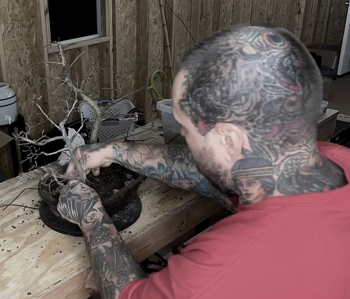 A man with extensive tattoos on his head and arms is planting or grooming a small leafless bonsai tree on a wooden workbench in a workshop or garage.