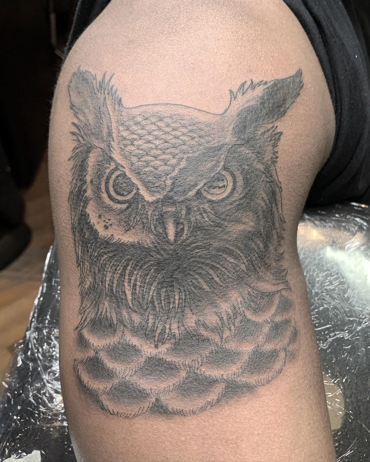  Frontal great horned owl portrait. Textured black and grey with detailed feather work.
