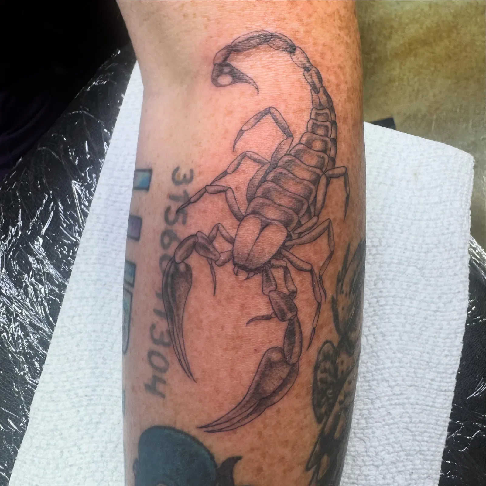 Detailed realistic scorpion tattoo in black and gray with fine linework and soft dotwork shading. Bold arthropod design on forearm by Brett Semrick.