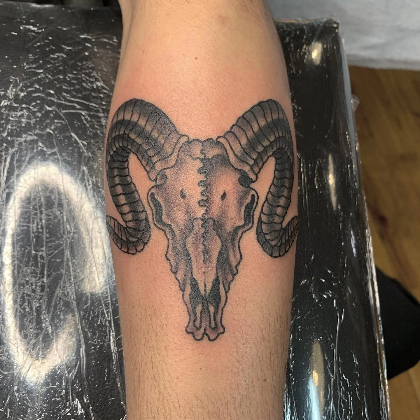 Traditional ram skull with heavy horns. Bold outline with soft black and grey shading.
