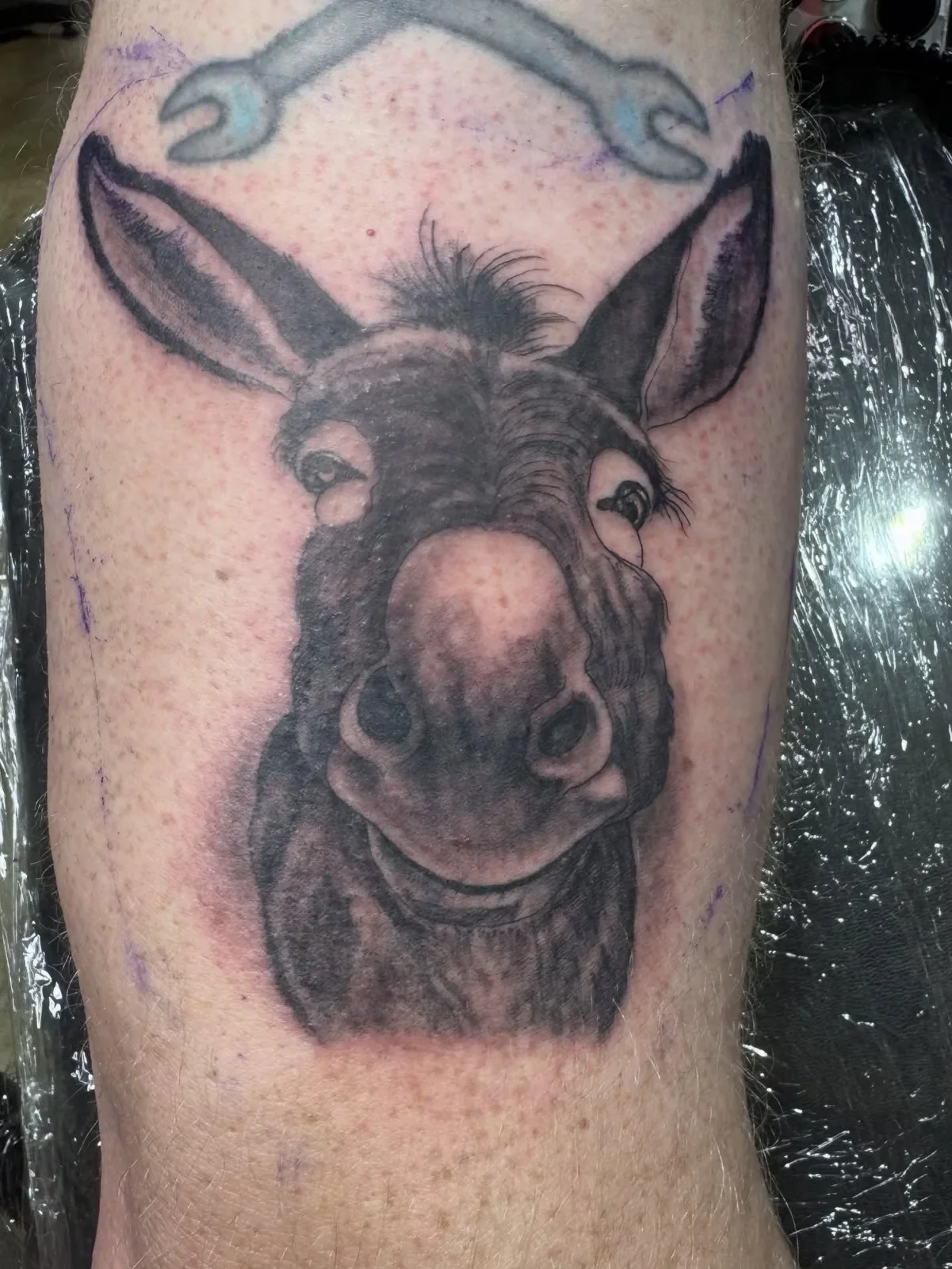 Highly detailed black and gray realistic donkey/mule portrait tattoo with expressive eyes and textured fur. Unique animal realism piece by Brett Semrick in San Diego.