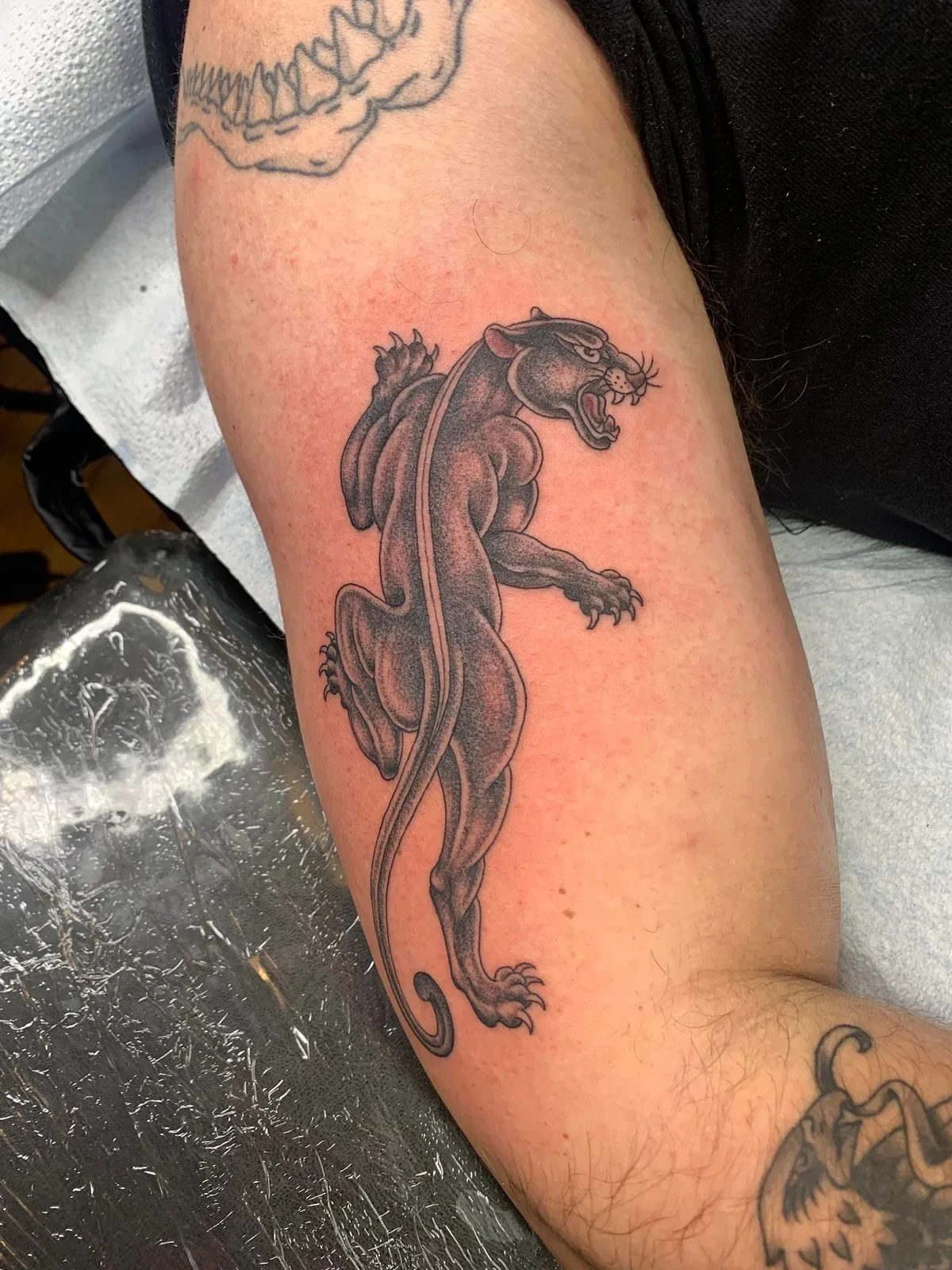 A black and grey tattoo of a fierce panther on a person's arm, showing the animal with an open mouth and a muscular body.