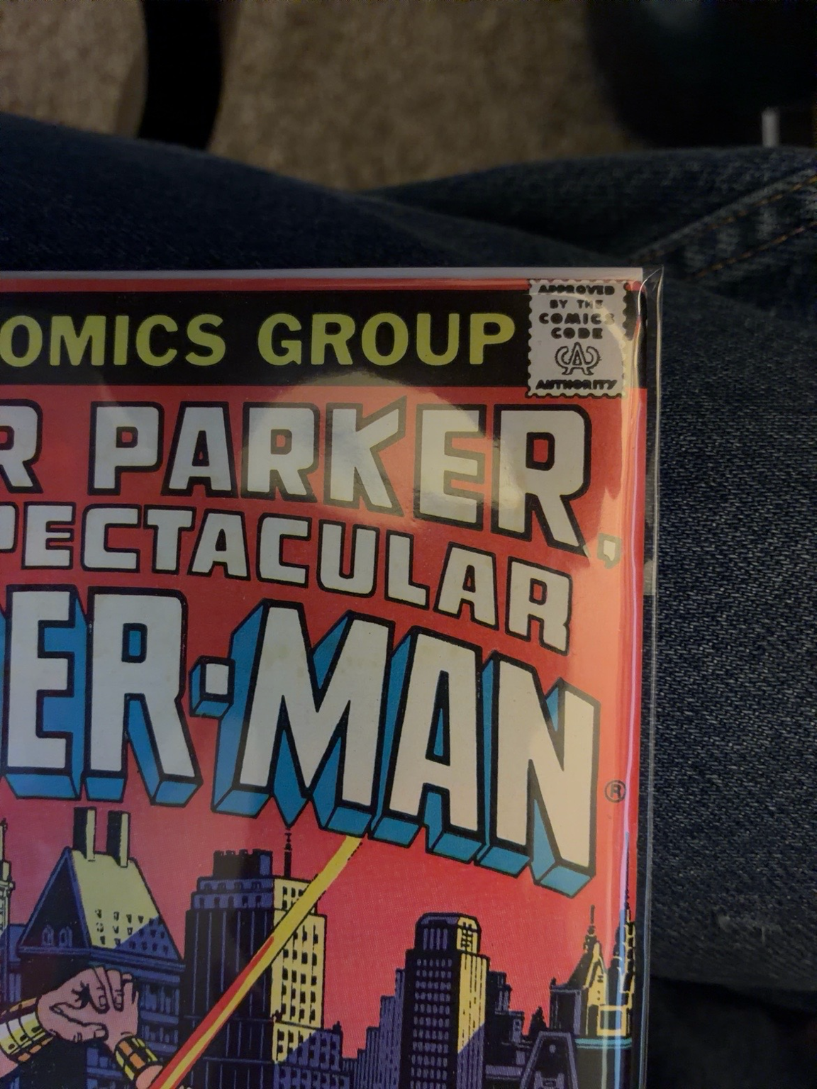 Peter Parker, The Spectacular Spider-Man #12