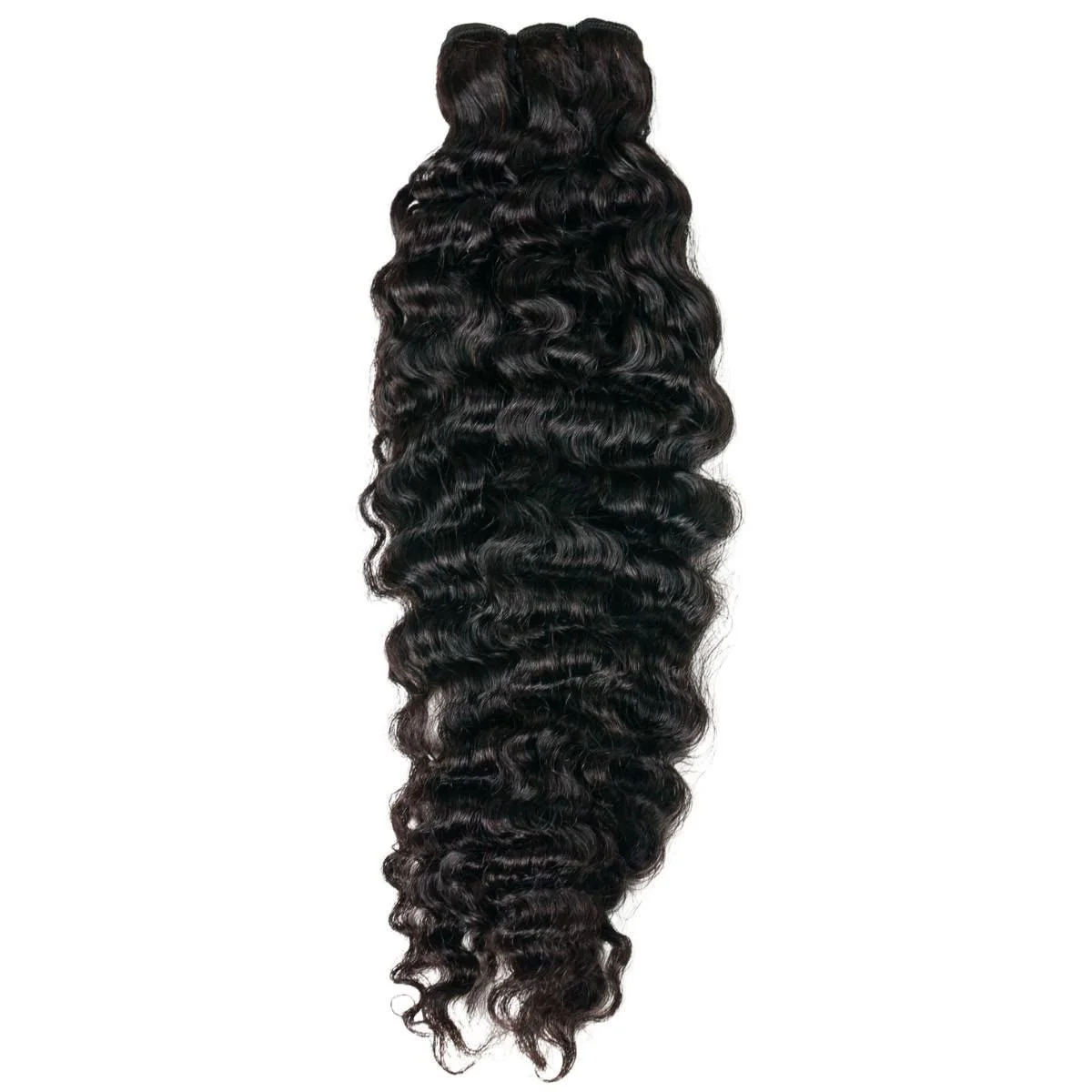 Burmese curly 12”