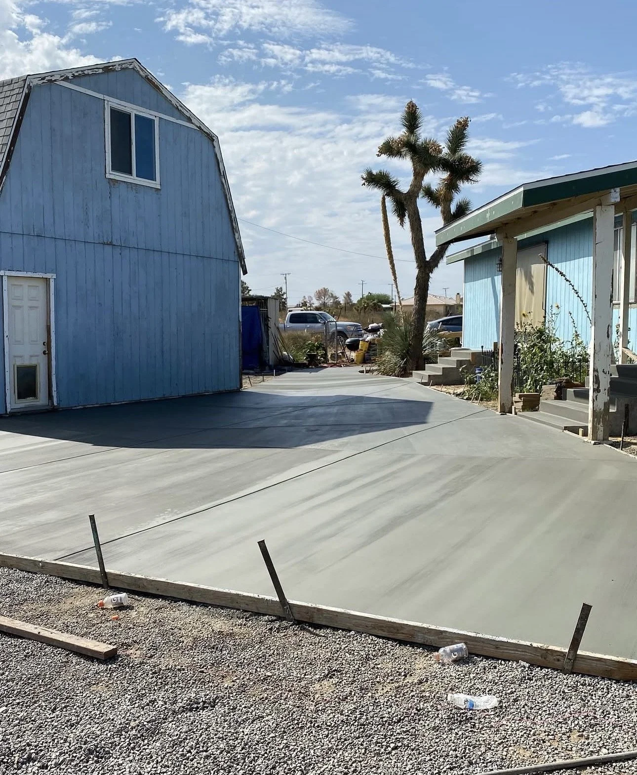 A newly poured concrete driveway in a residential area, with a blue house on the left, a blue house on the right, and a Joshua tree in the background.