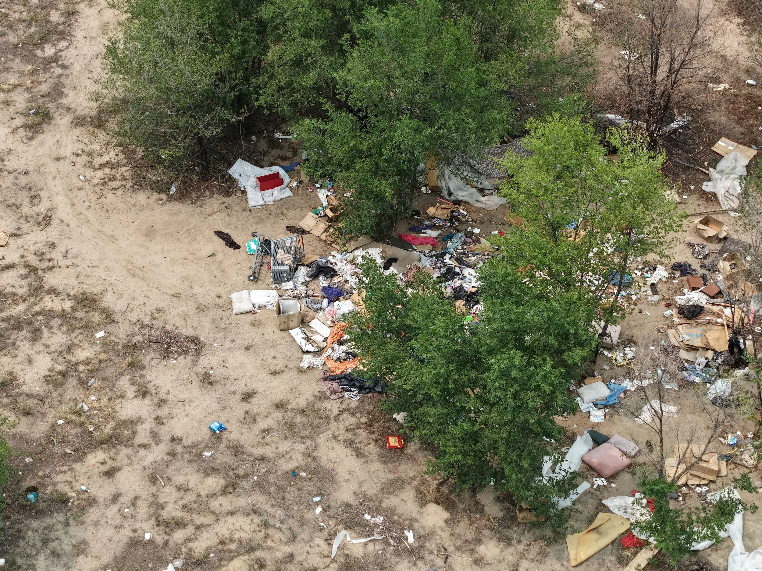 DJI_20260803140243_0117_D.JPG