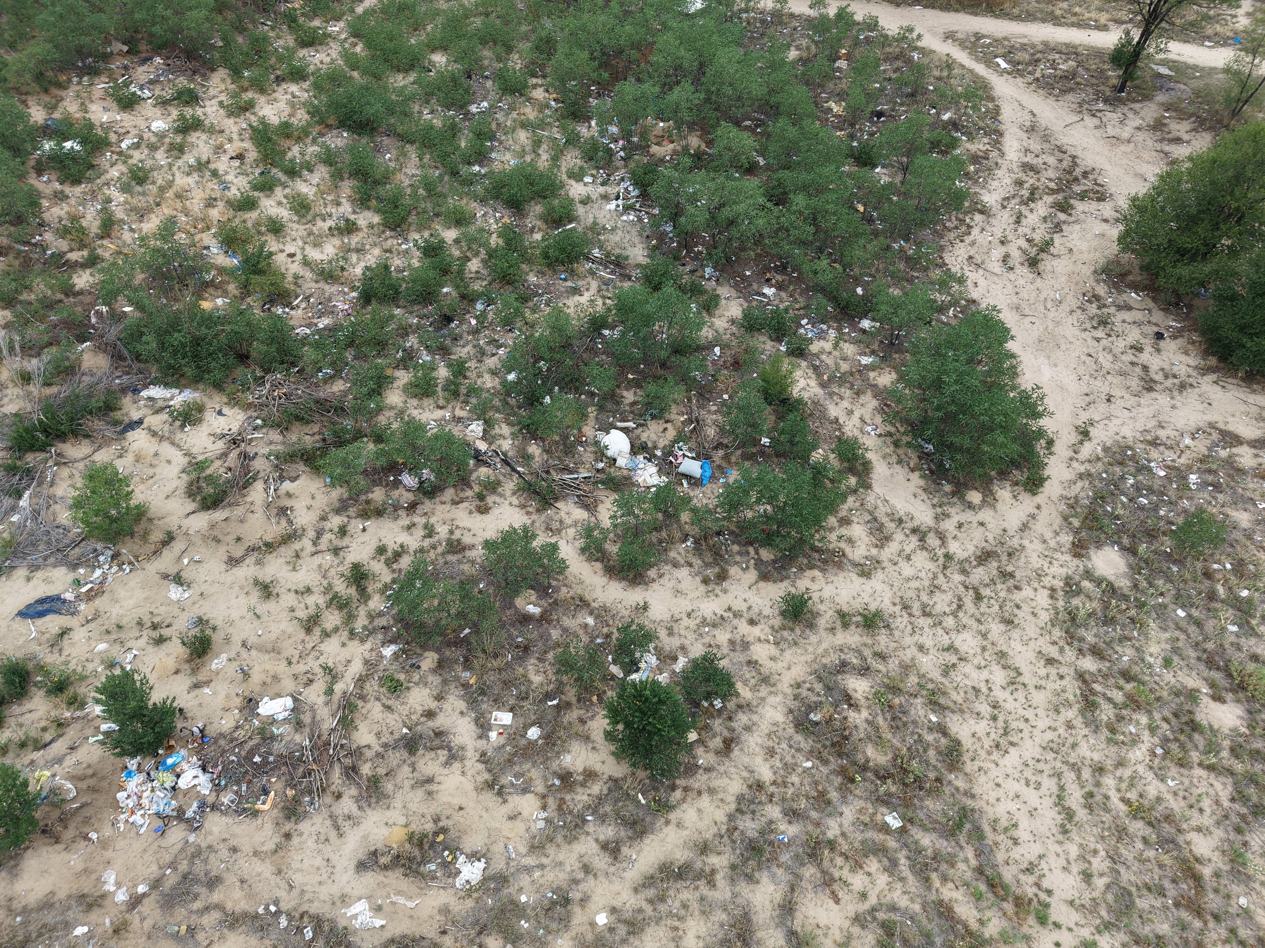 DJI_20260803142501_0131_D.JPG