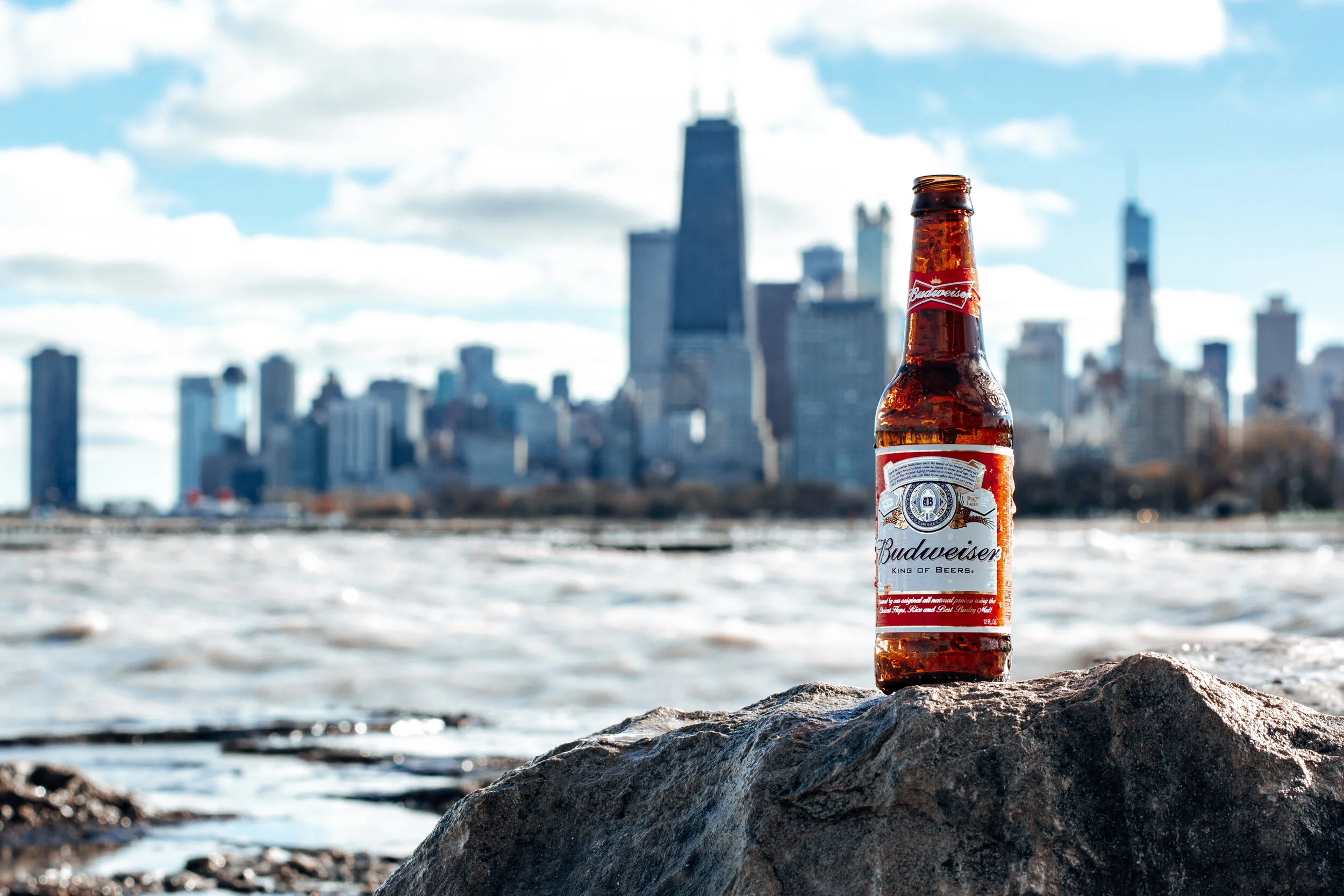 Budweiser Holiday Buds