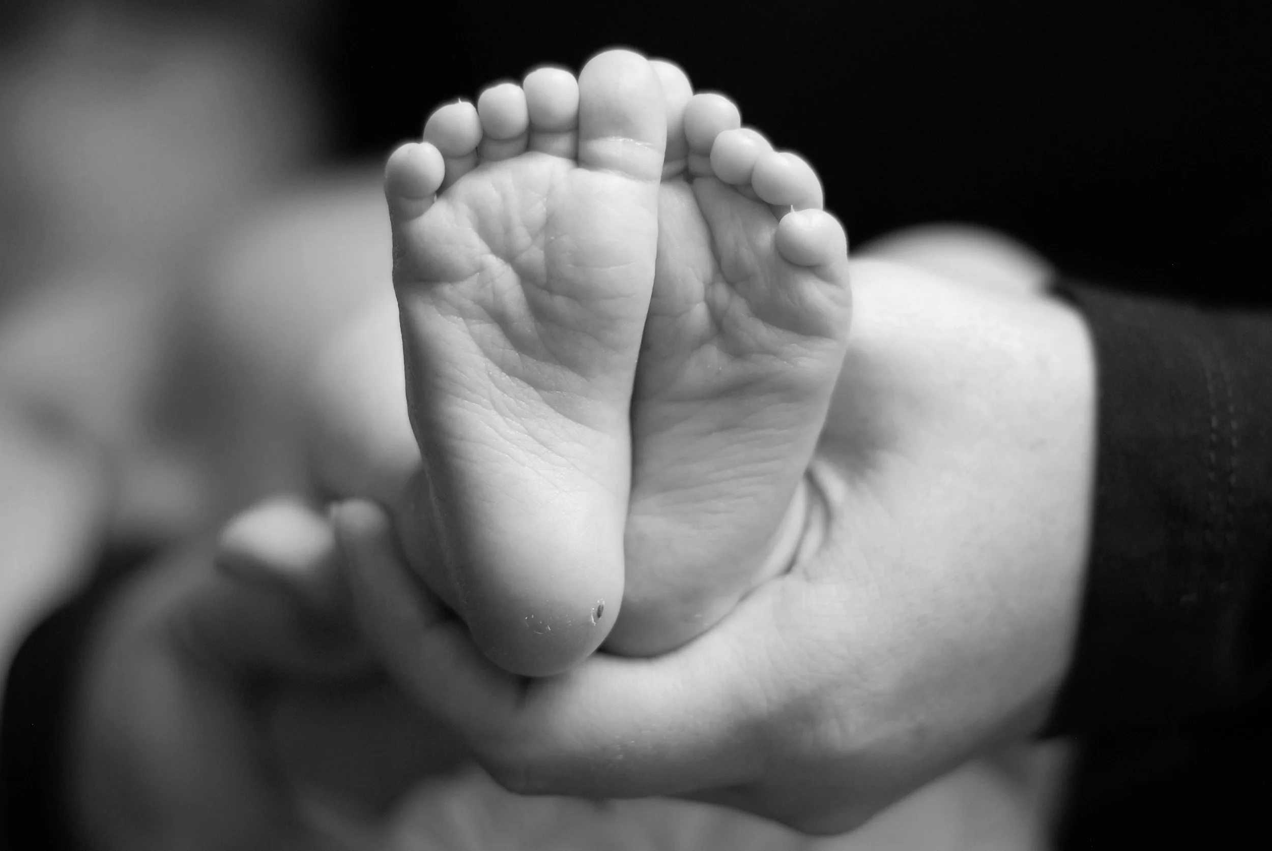 DSC_d2000182bw (1).jpg