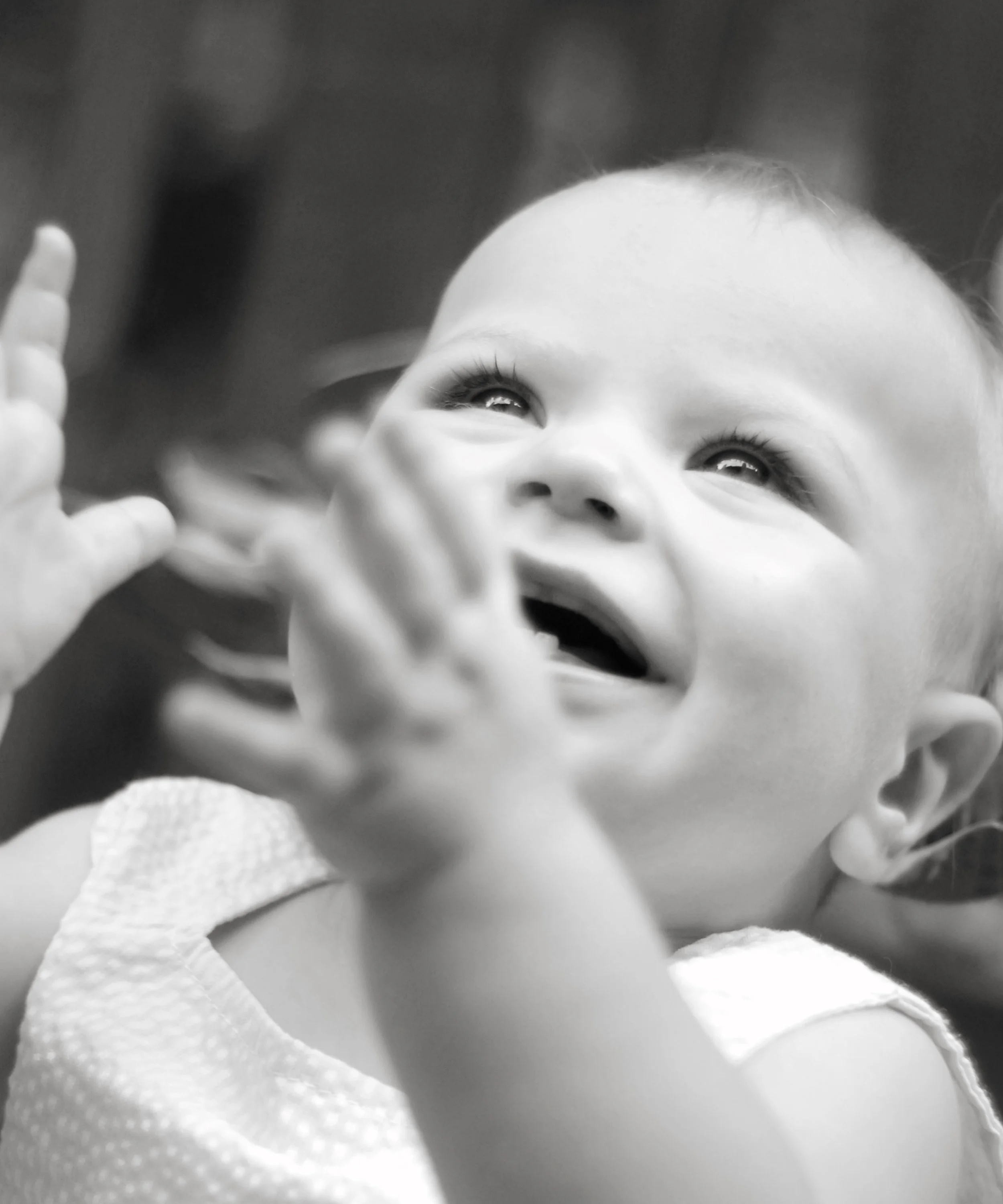 DSC_d2000140bw.jpg