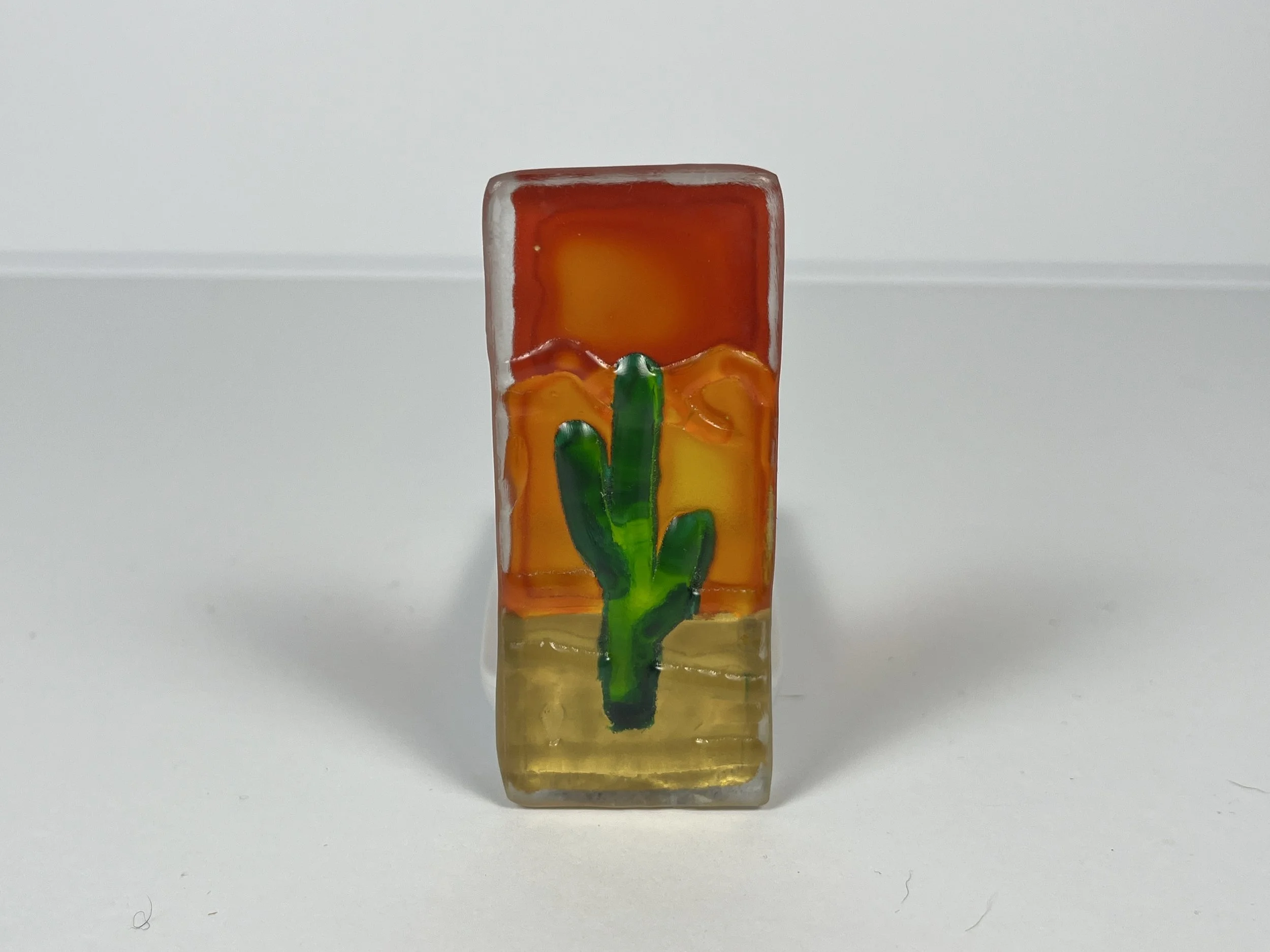 little-cactus-1.JPG