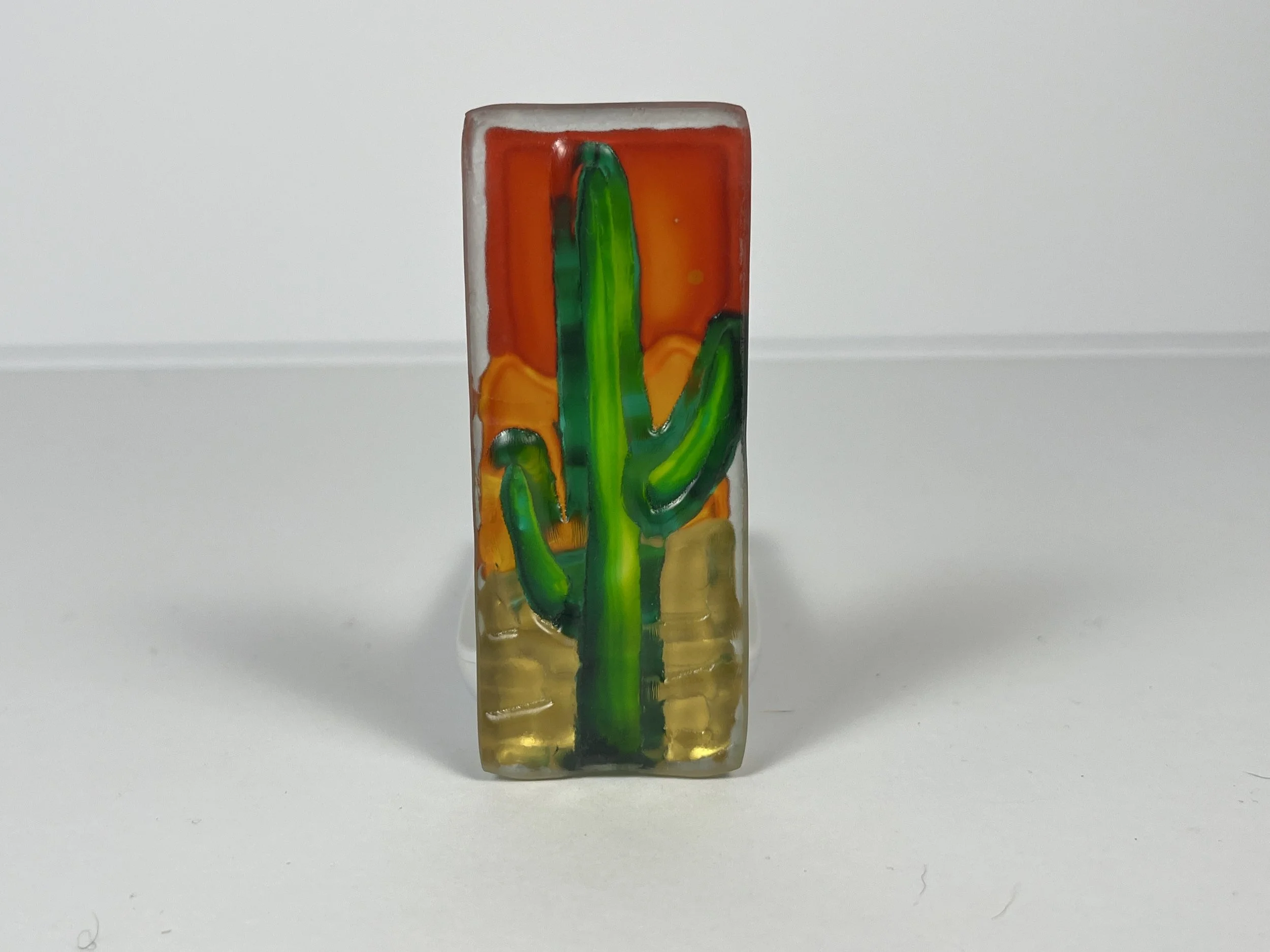 little-cactus-3-2.JPG
