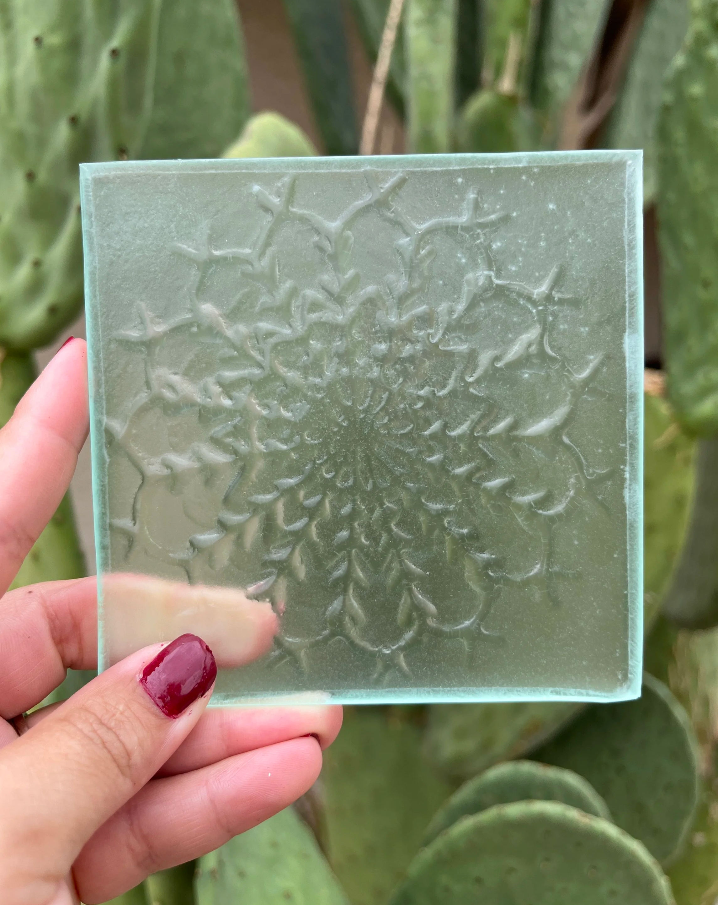 A close-up of a textured clear glass tile with a cactus design imprinted