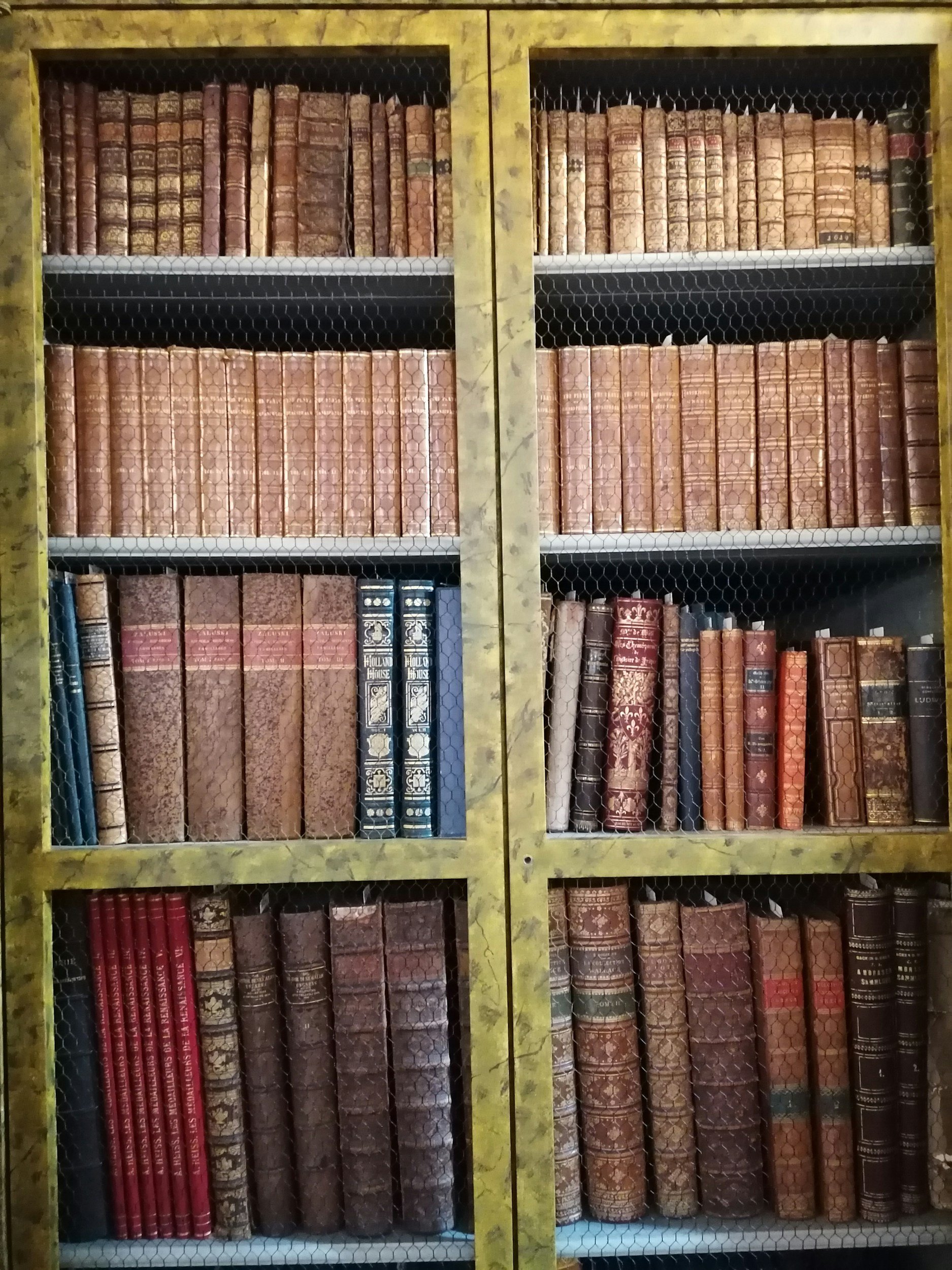 A bookshelf filled with old, leather-bound books behind a wire mesh screen. The books are of various shades of brown and red, with some black and gold accents.