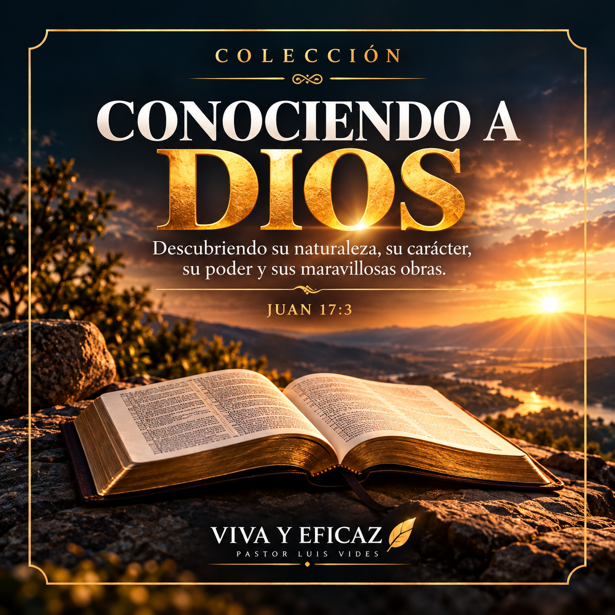 Conociendo a Dios
Descubre a través de las Escrituras la naturaleza, el carácter, el poder y las maravillosas obras de Dios. Un estudio bíblico que te llevará a conocerlo más profundamente y fortalecer tu relación con Él.