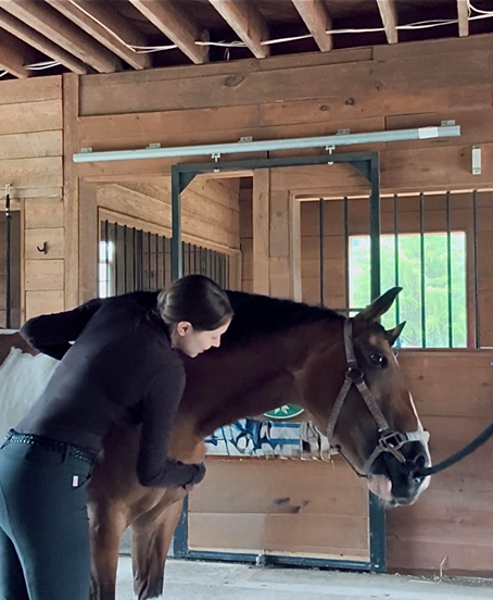 A woman massaging a brown horse inside a wooden stable.