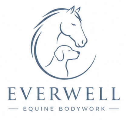 Everwell Equine Bodywork