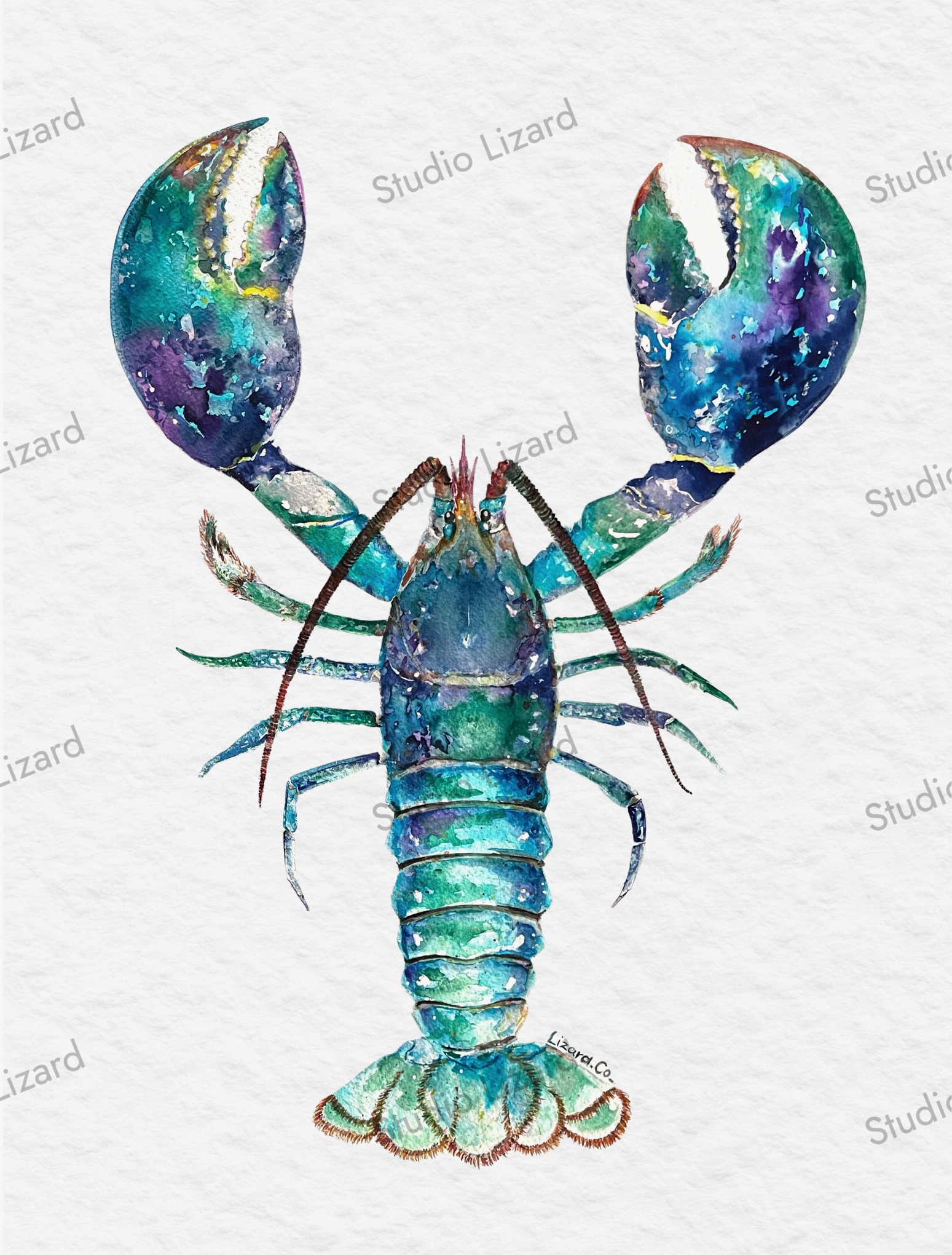 6.png