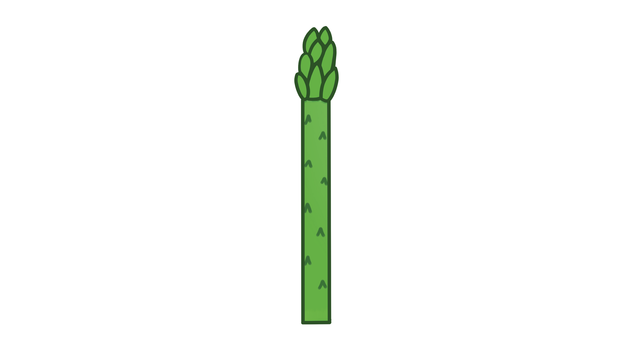 Asparagus.png