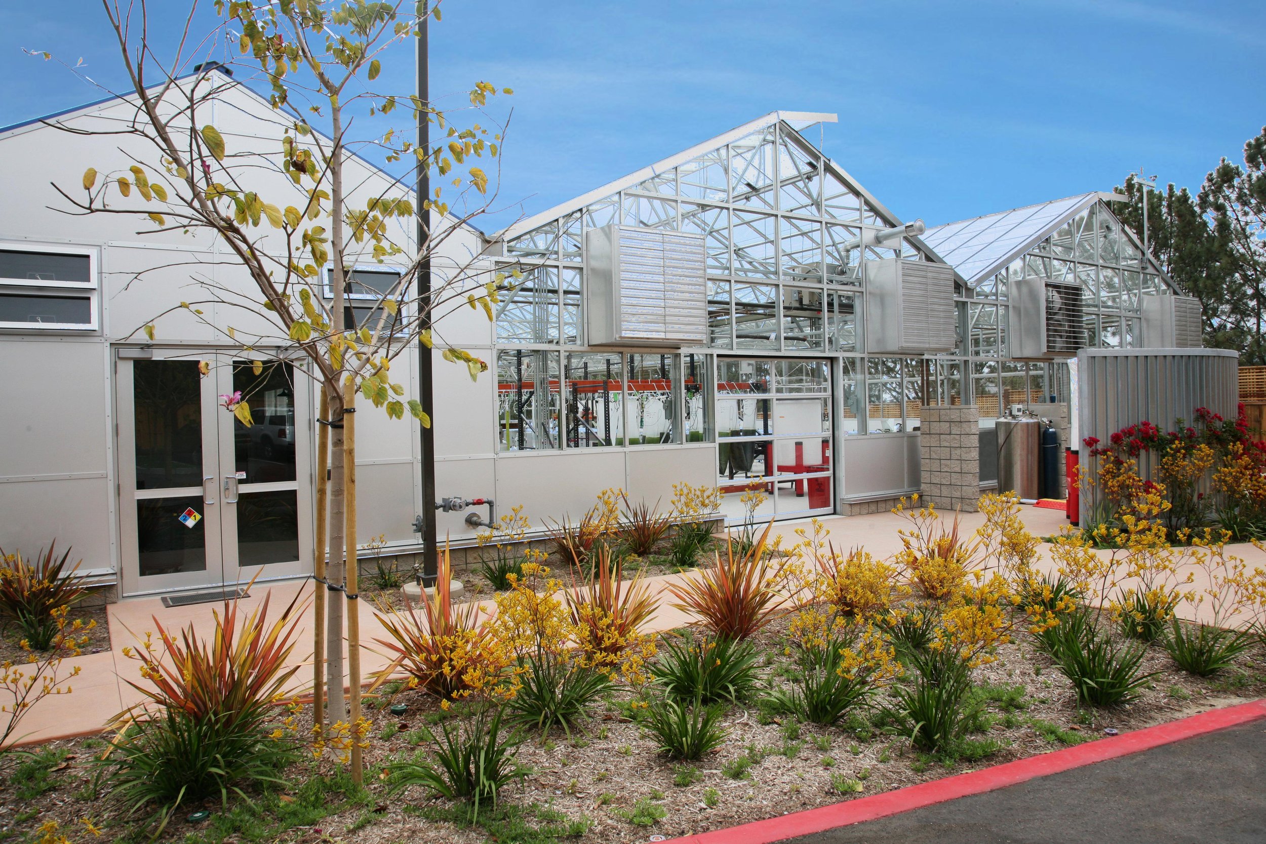 A greenhouse with a metal and glass structure, surrounded by a landscaped garden with various plants and flowers, under a clear blue sky.