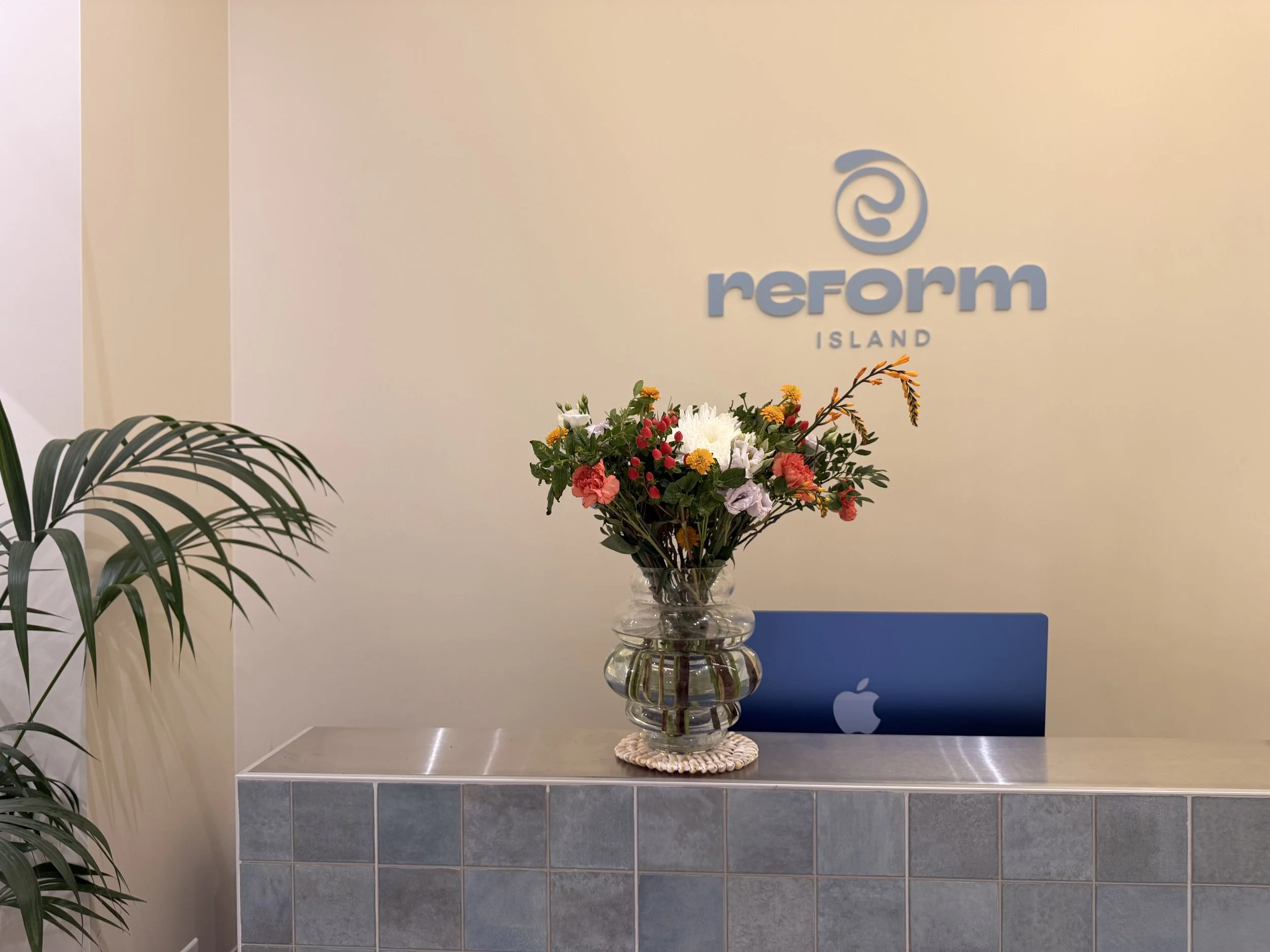 Vase de fleurs colorées sur une table en face d'un mur avec le logo 'reform ISLAND' au fond, décoré avec des plantes vertes en adjacent.