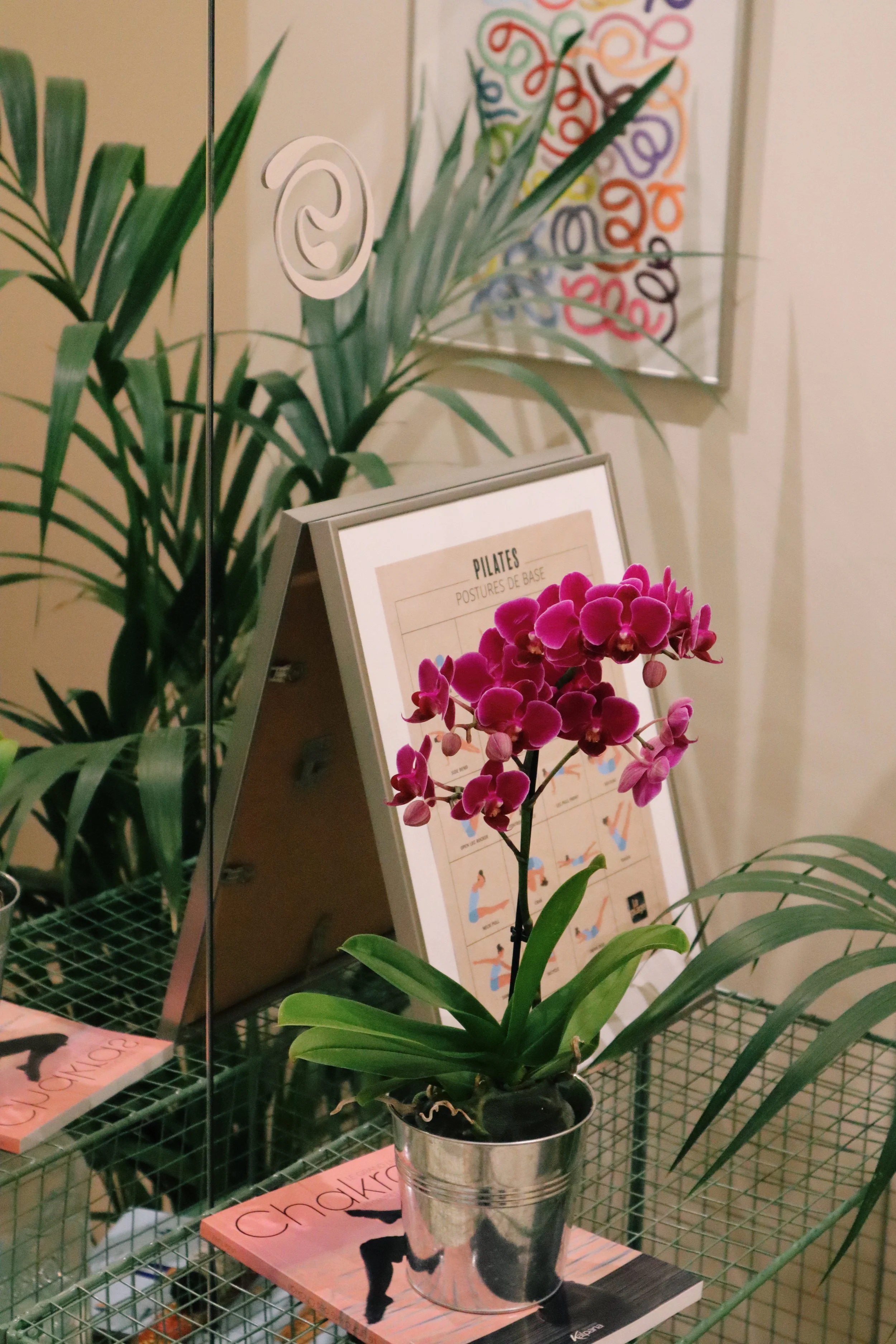 Une plante d'orchidée violette dans un pot en métal argenté sur un support en grille, avec un magazine en dessous, dans un décor contenant une affiche et des plantes vertes.